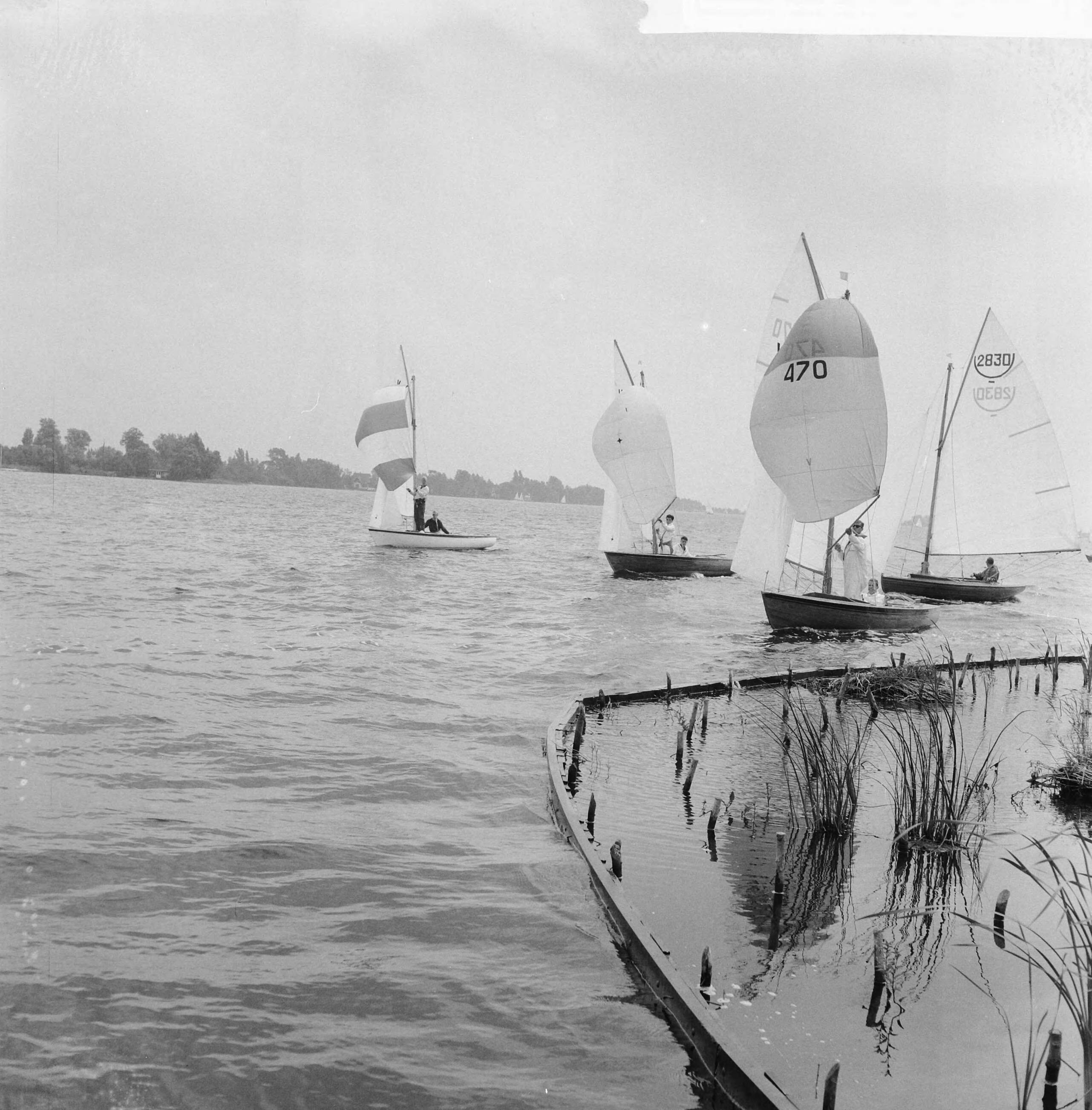 Fotocollectie Anefo — Internationale Hollandweek te Loosdrecht, vrijheidsklasse met ballonzeilen — Foto: Behrens, Herbert F. / Anefo. Licentie: Set B: Rechtenvrij / Publiek Domein. Bron: Nationaal Archief. http://hdl.handle.net/10648/a9b594a4-d0b4-102d-bcf8-003048976d84