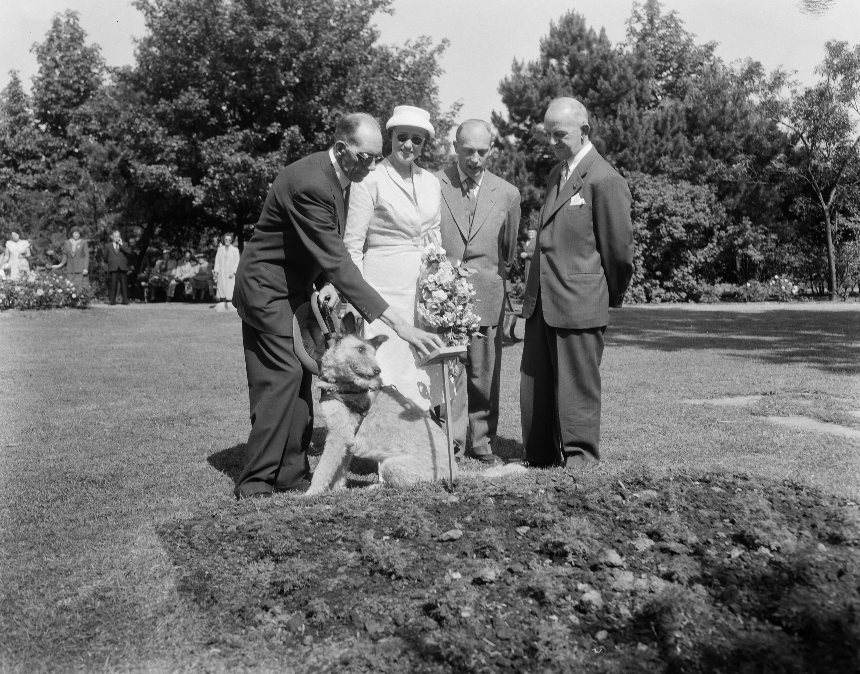 Fotocollectie Anefo — Opening van een blindentuin in Den Haag door mevr. Kolfschoten, echtgenote van de burgemeester van Den Haag — Foto: Pot, Harry / Anefo. Licentie: Set B: Rechtenvrij / Publiek Domein. Bron: Nationaal Archief. http://hdl.handle.net/10648/a962965a-d0b4-102d-bcf8-003048976d84