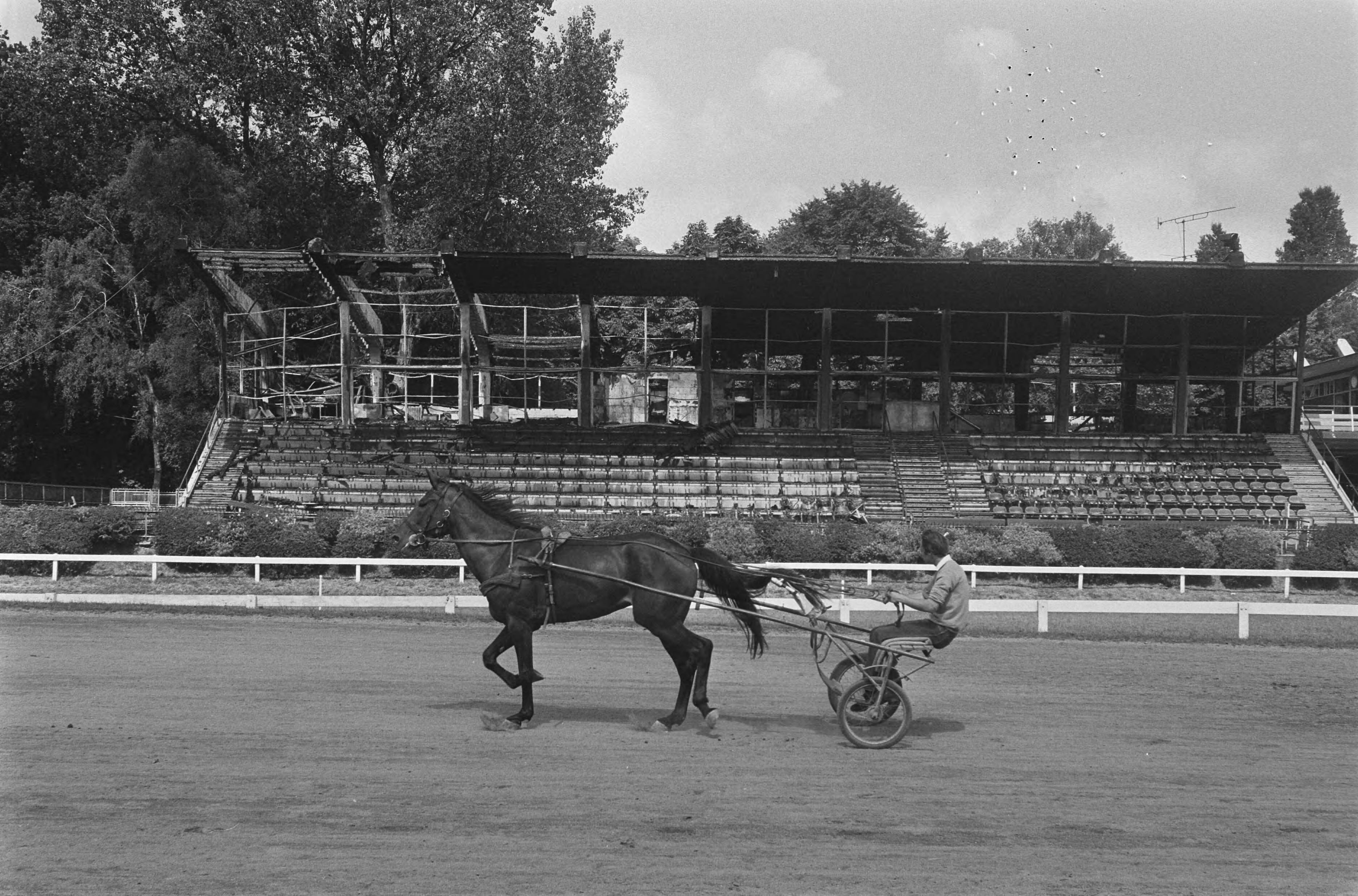 Fotocollectie Anefo — Tribune Duindigt afgebrand; tribune met op voorgrond paard en wagen — Foto: Molendijk, Bart / Anefo. Licentie: Set B: Rechtenvrij / Publiek Domein. Bron: Nationaal Archief. http://hdl.handle.net/10648/ad55897a-d0b4-102d-bcf8-003048976d84