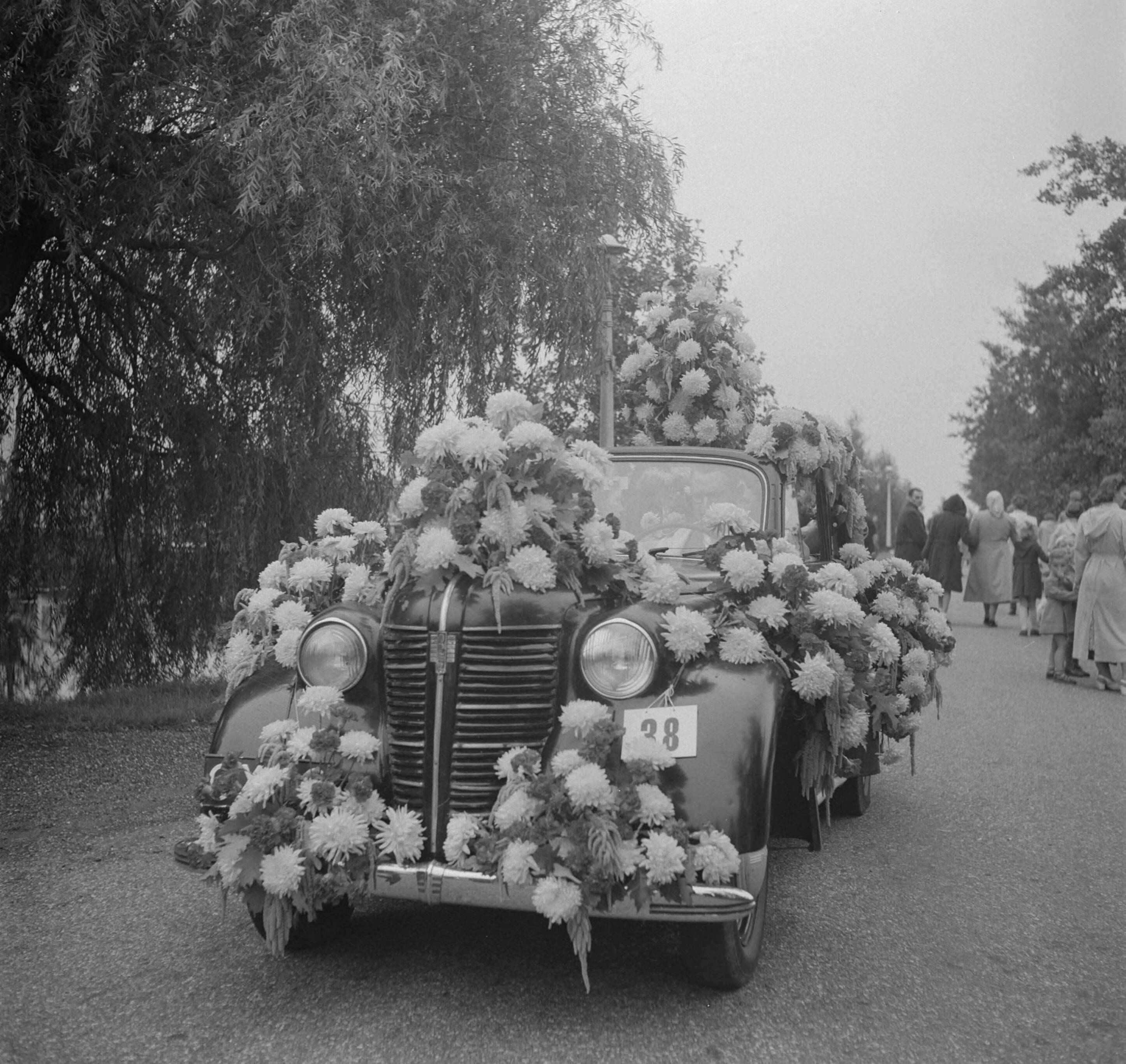 Fotocollectie Anefo — Bloemencorso Aalsmeer — Foto: Pot, Harry / Anefo. Licentie: Set B: Rechtenvrij / Publiek Domein. Bron: Nationaal Archief. http://hdl.handle.net/10648/a8deb0a6-d0b4-102d-bcf8-003048976d84
