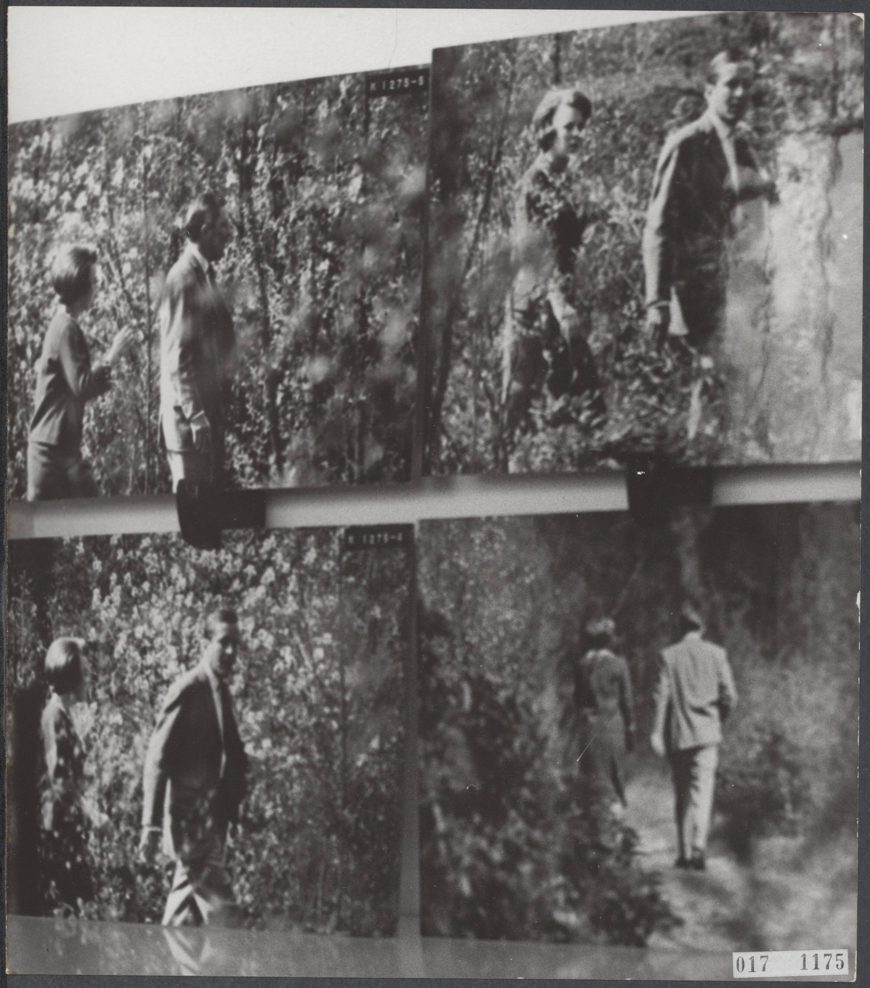 Fotocollectie Elsevier Binnenland — Foto's van John de Rooy [John de Rooij] op de tentoonstelling van World Press Photo in het Gemeentemuseum in Den Haag. De foto van prinses Beatrix en Claus von Amsberg in de tuin van kasteel Drakensteyn, was gemaakt voor de bekendmaking van de verloving. De vereniging van Fotojournalisten, die indertijd protesteerde tegen de publicatie van de foto, heeft de jaarlijks toegekende Zilveren Camera voor de beste Nederlandse foto teruggetrokken. De tentoonstelling zal op 10 december 1965 geopend worden door prins Bernhard — Foto: Rooij, John de / Anefo reproductie. Licentie: Set B: Rechtenvrij / Publiek Domein. Bron: Nationaal Archief. http://hdl.handle.net/10648/adc03bc6-d0b4-102d-bcf8-003048976d84