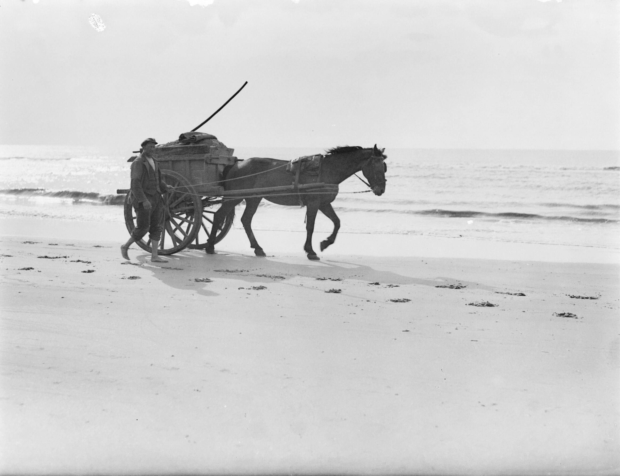 Reportage fotomodel — Een schelpenkar met lopend een man er naast op het strand van Zandvoort — Foto: Poll, Willem van de. Licentie: Set B: Rechtenvrij / Publiek Domein. Bron: Nationaal Archief. http://hdl.handle.net/10648/aea7fdc6-d0b4-102d-bcf8-003048976d84