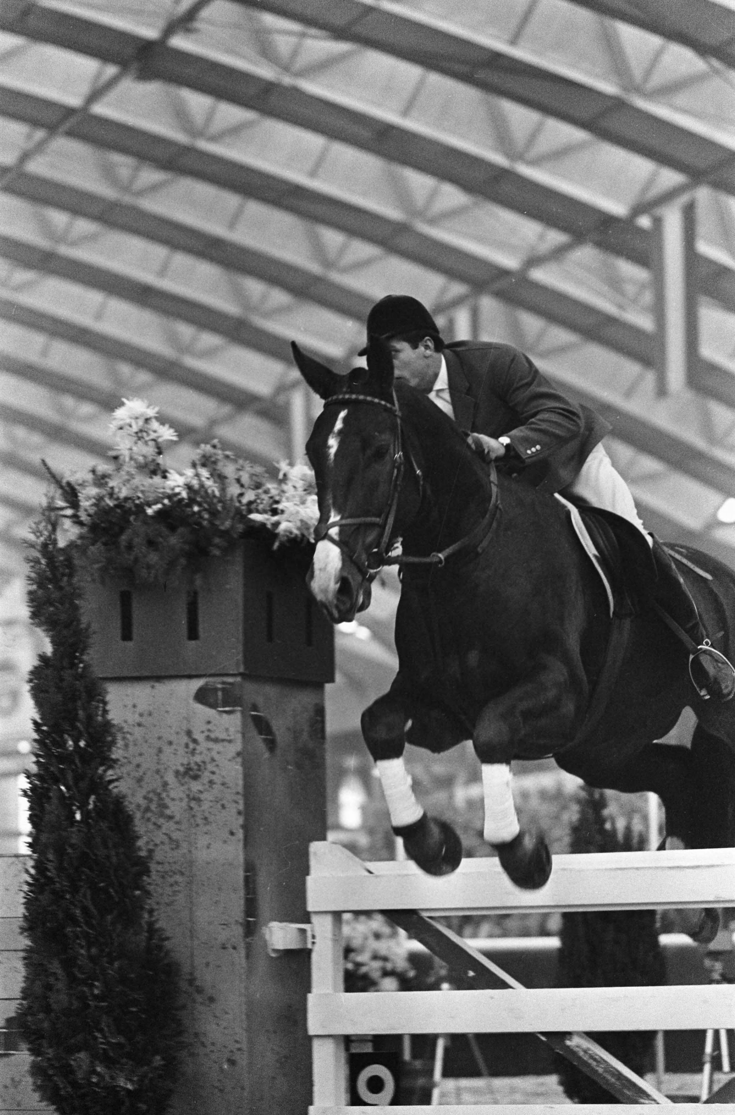 Jumping Amsterdam 1965 in de RAI te Amsterdam — De Duitse ruiter Alwin Schockemöhle tijdens een sprong met zijn paard "Exakt" [Grote Prijs van Amsterdam?] — Foto: Fotograaf Onbekend / Anefo. Licentie: Set B: Rechtenvrij / Publiek Domein. Bron: Nationaal Archief. http://hdl.handle.net/10648/aac92cd4-d0b4-102d-bcf8-003048976d84