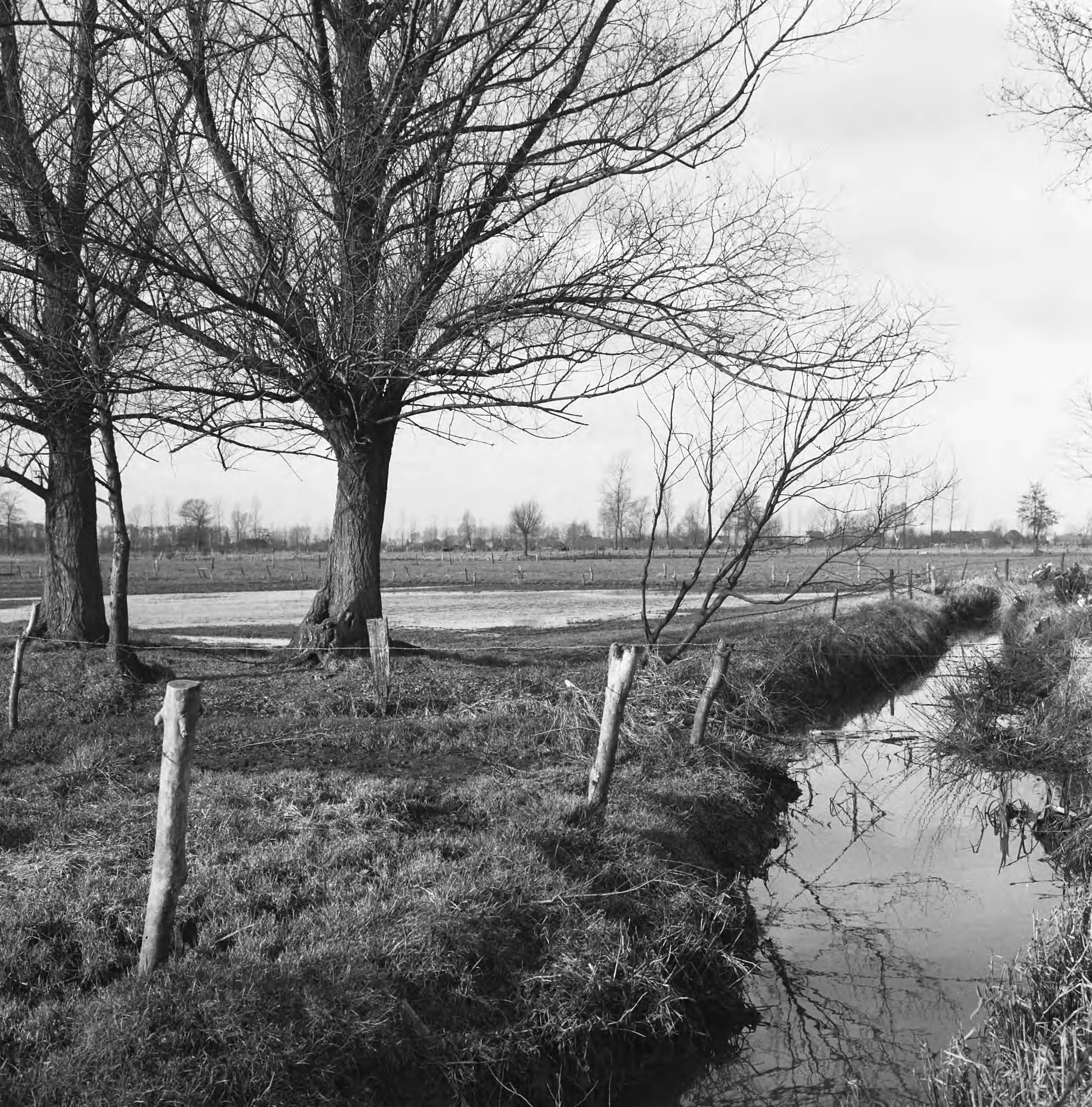 Fotocollectie Nederlandse Heidemaatschappij — Ruilverkaveling Essche Stroom vak III (bestaande toestand). Drassig gebeid in het dal van de Essche Stroom in de omgeveing van de N.V. Rotterdam. Rijnpijpleiding. Op de achtergrond de kerktoren van Haaren — Foto: Wüllschleger, [...] / Heidemij. Licentie: Set B: Rechtenvrij / Publiek Domein. Bron: Nationaal Archief. http://hdl.handle.net/10648/ae7452be-d0b4-102d-bcf8-003048976d84