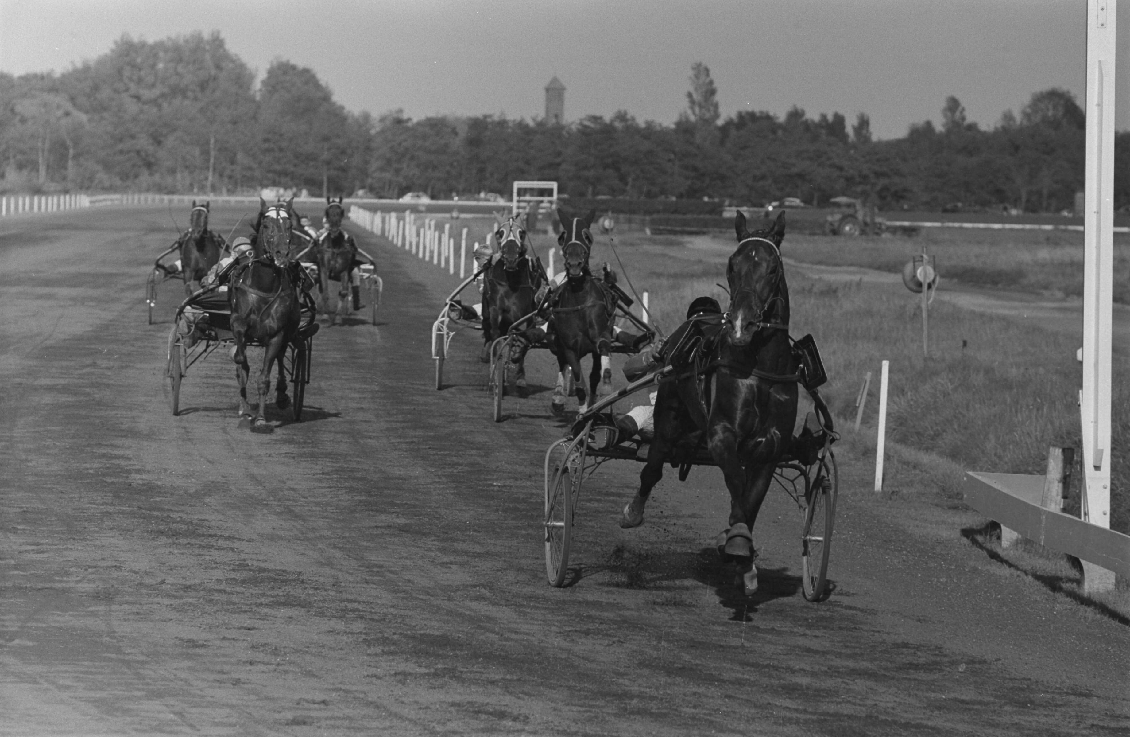 Fotocollectie Anefo — 25e draversontmoeting Nederland tegen België op Duindigt — Foto: Pot, Harry / Anefo. Licentie: Set B: Rechtenvrij / Publiek Domein. Bron: Nationaal Archief. http://hdl.handle.net/10648/a9e48e76-d0b4-102d-bcf8-003048976d84
