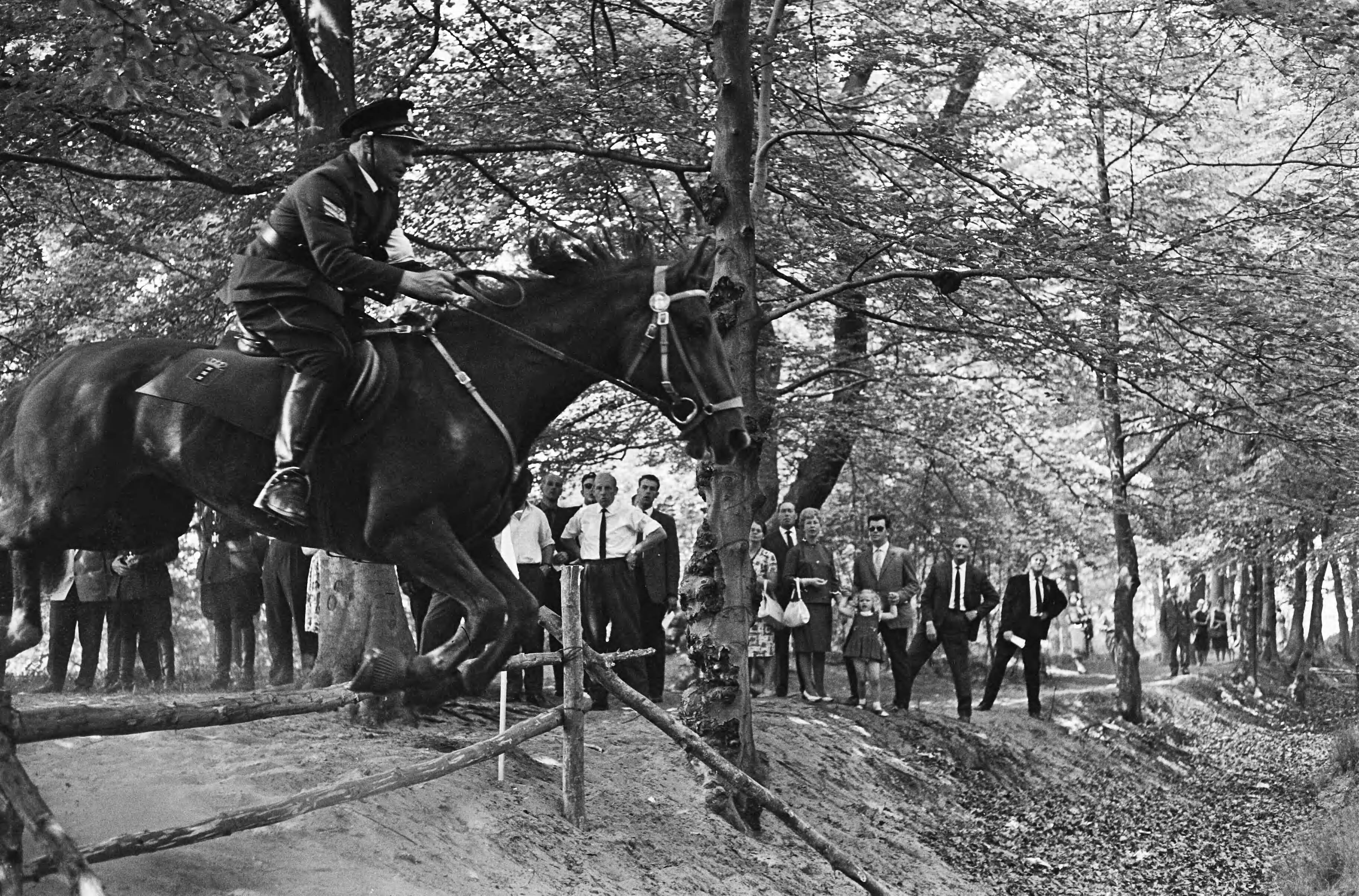 Fotocollectie Anefo — 50 jaar bestaan bereden brigade Haagse politie, deelnemers tijdens nemen hindernis tijdens cross country op Duinzigt Den Haag — Foto: Pot, Harry / Anefo. Licentie: Set B: Rechtenvrij / Publiek Domein. Bron: Nationaal Archief. http://hdl.handle.net/10648/aa6b1a2c-d0b4-102d-bcf8-003048976d84