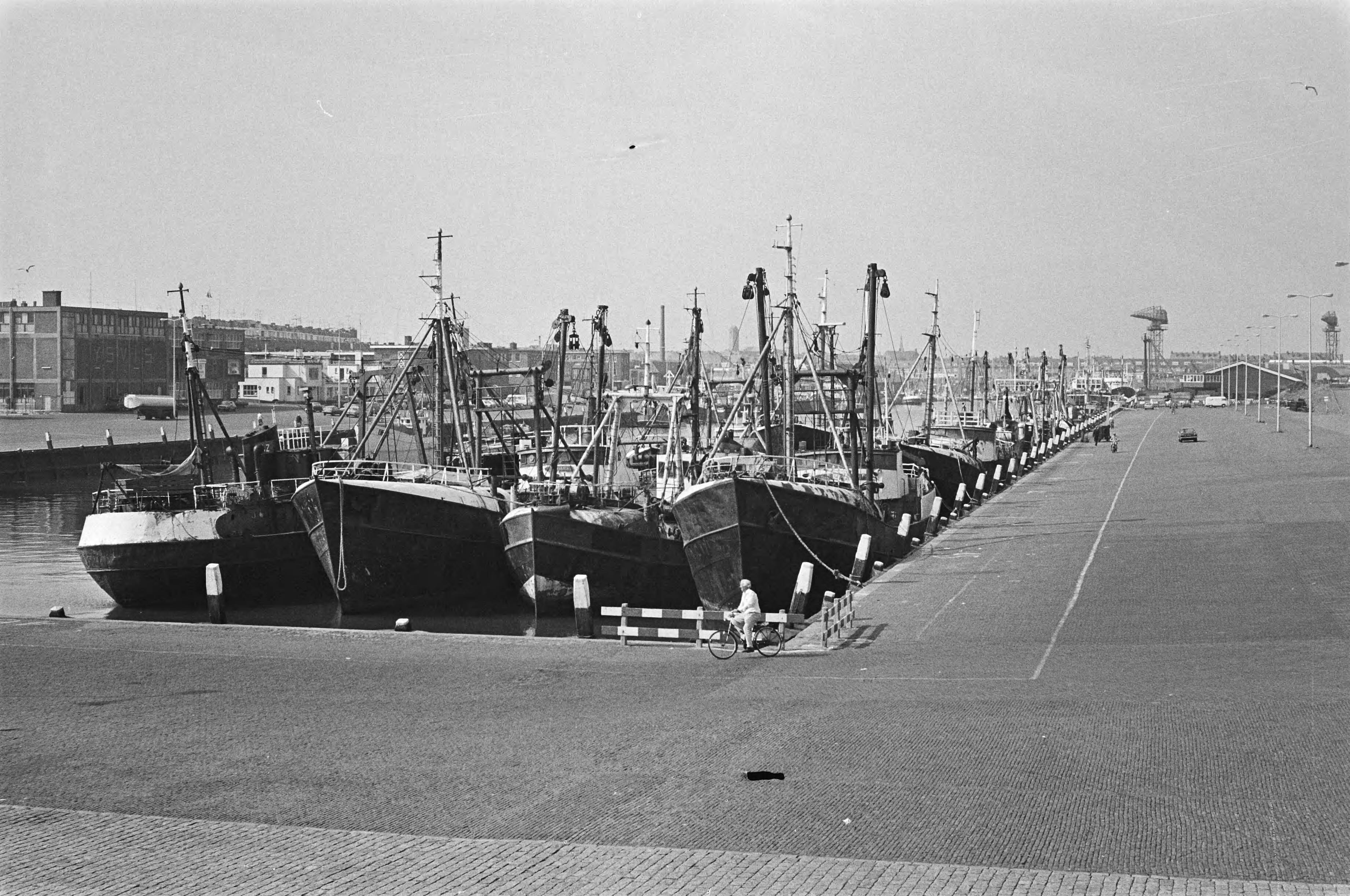 Fotocollectie Anefo — Nederlandse haringvloot ligt definitief stil; haringschepen in Scheveningse haven — Foto: Peters, Hans / Anefo. Licentie: Set B: Rechtenvrij / Publiek Domein. Bron: Nationaal Archief. http://hdl.handle.net/10648/ac9ef336-d0b4-102d-bcf8-003048976d84