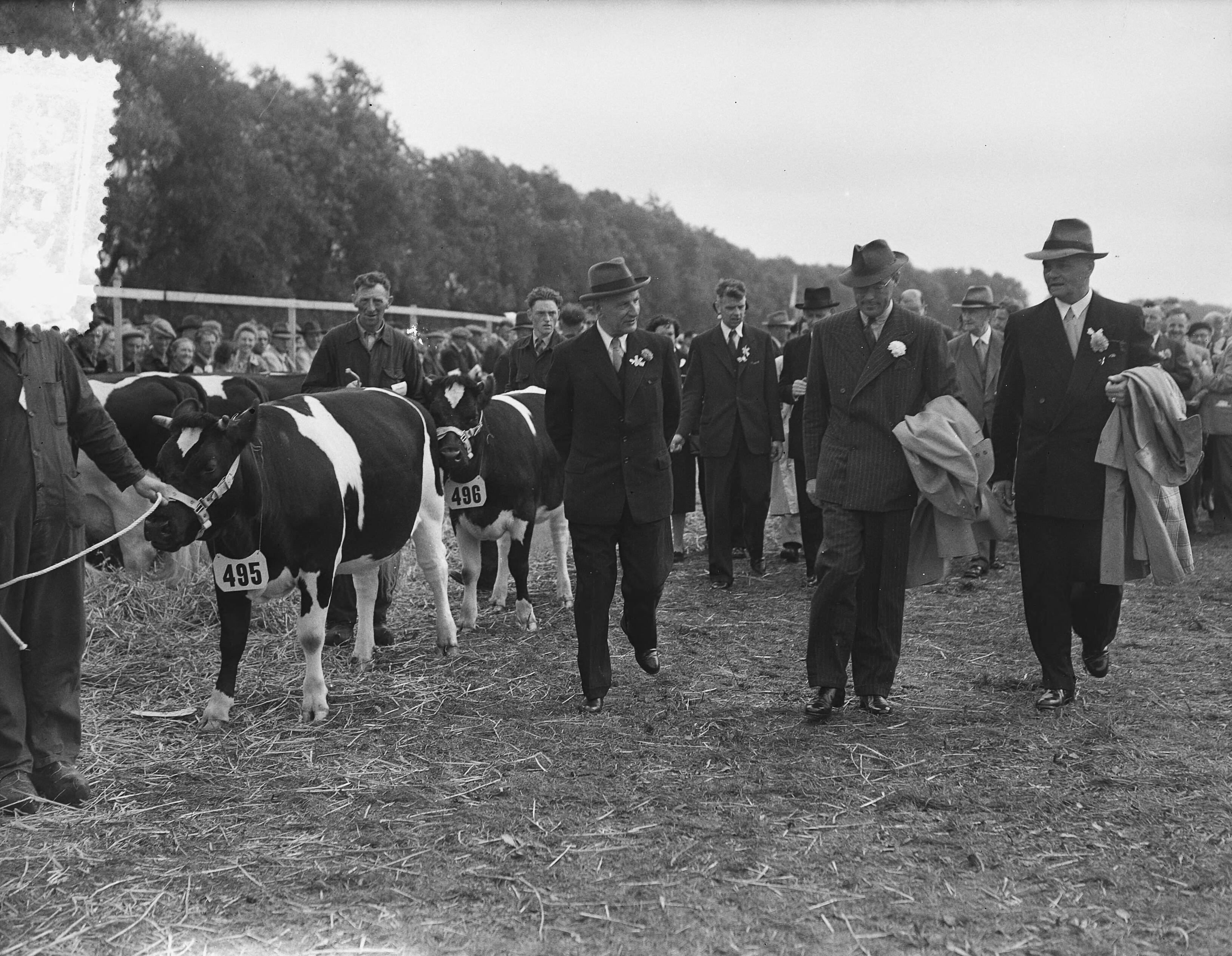 Fotocollectie Anefo — Jubileum 75 jaar keuring Fries Rundvee Stamboek te Leeuwarden, Prins Bernhard was aanwezig — Foto: Bilsen, Joop van / Anefo. Licentie: Set B: Rechtenvrij / Publiek Domein. Bron: Nationaal Archief. http://hdl.handle.net/10648/a9293162-d0b4-102d-bcf8-003048976d84