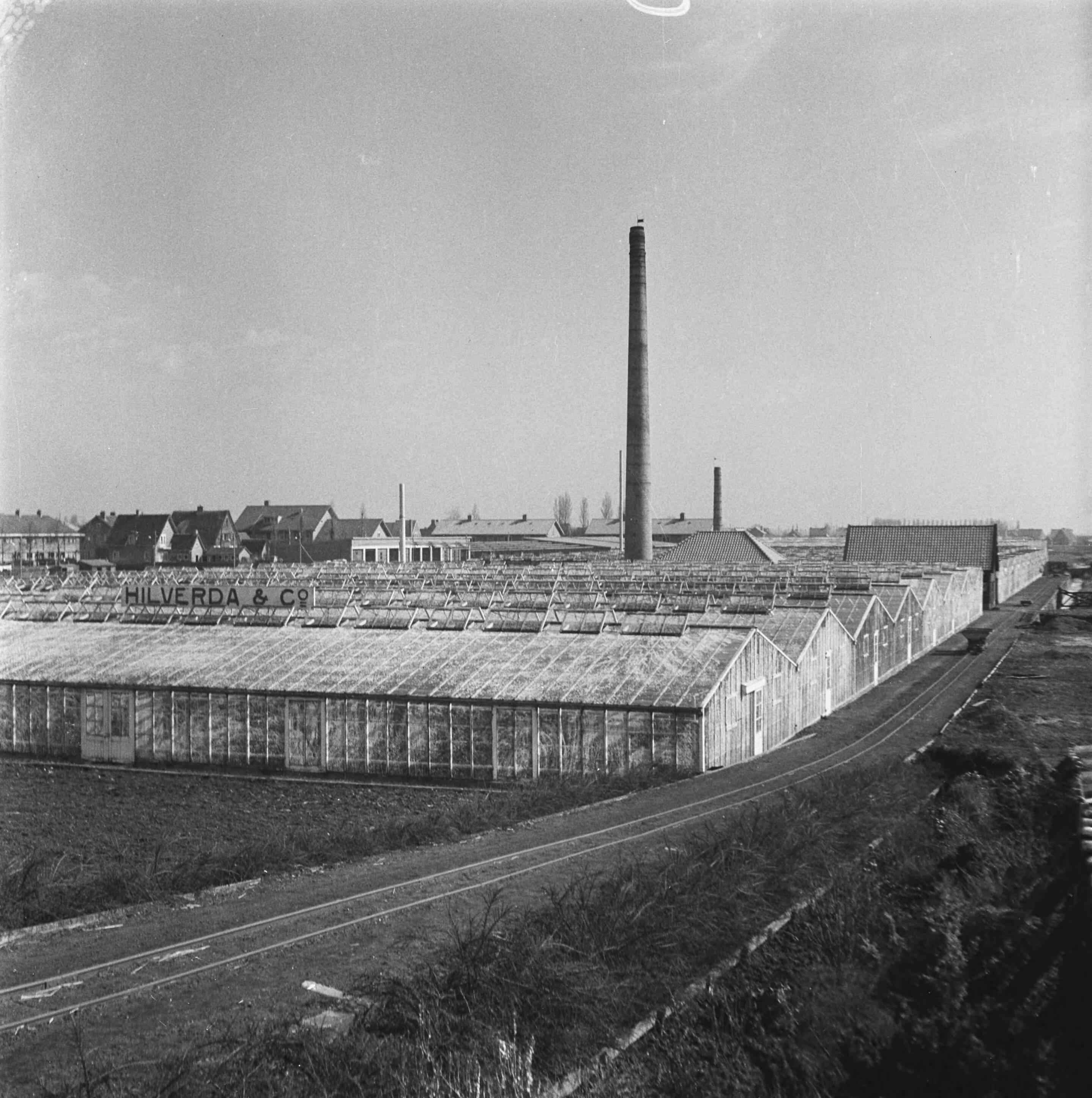 Fotocollectie Anefo — Aalsmeer — Foto: Wisman, Bram / Anefo. Licentie: Set B: Rechtenvrij / Publiek Domein. Bron: Nationaal Archief. http://hdl.handle.net/10648/a8a71574-d0b4-102d-bcf8-003048976d84