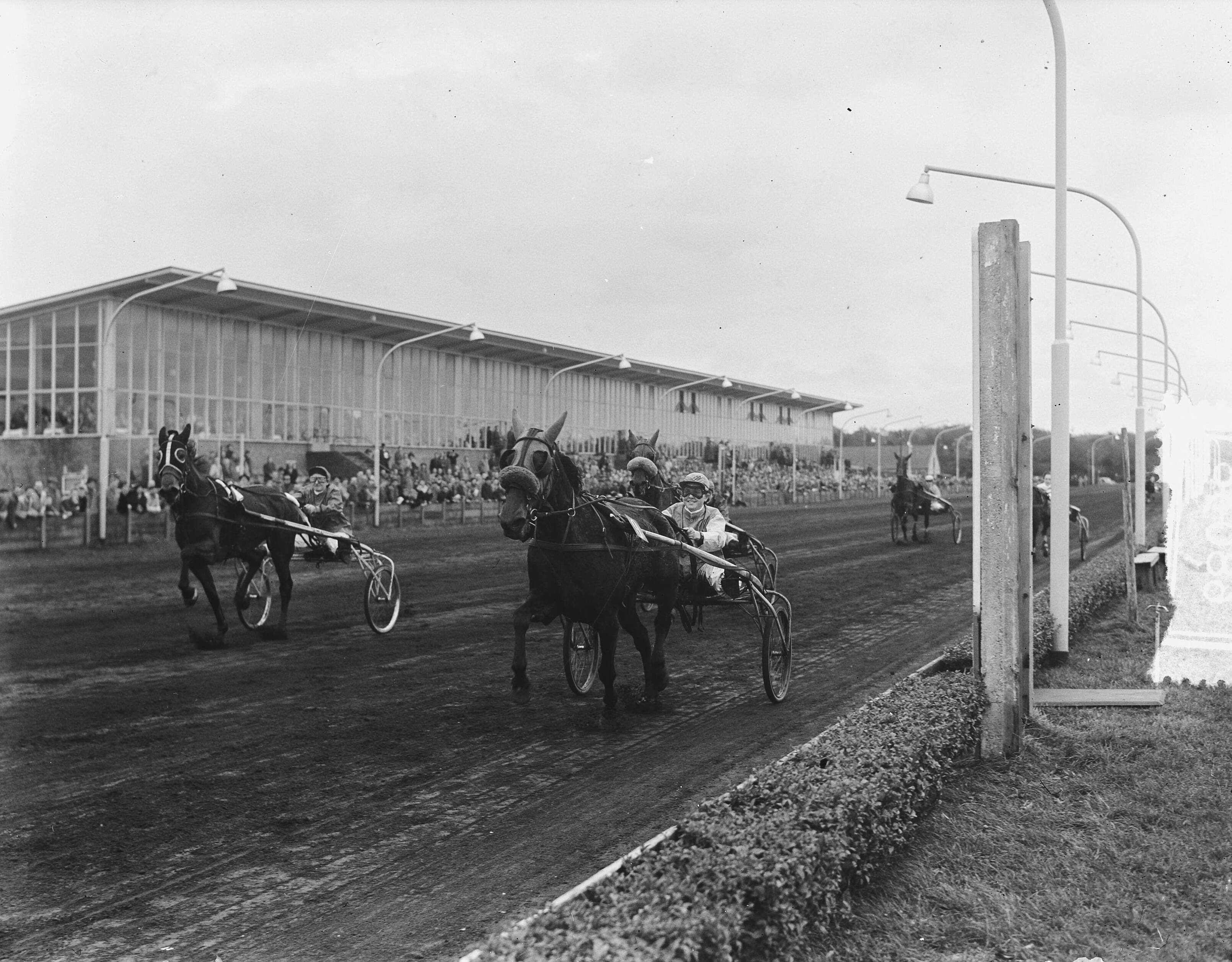 Fotocollectie Anefo — Nederlandse kampioenschap dames-pikeurs te Hilversum — Foto: Duinen, H. van / Anefo. Licentie: Set B: Rechtenvrij / Publiek Domein. Bron: Nationaal Archief. http://hdl.handle.net/10648/a92bd94e-d0b4-102d-bcf8-003048976d84