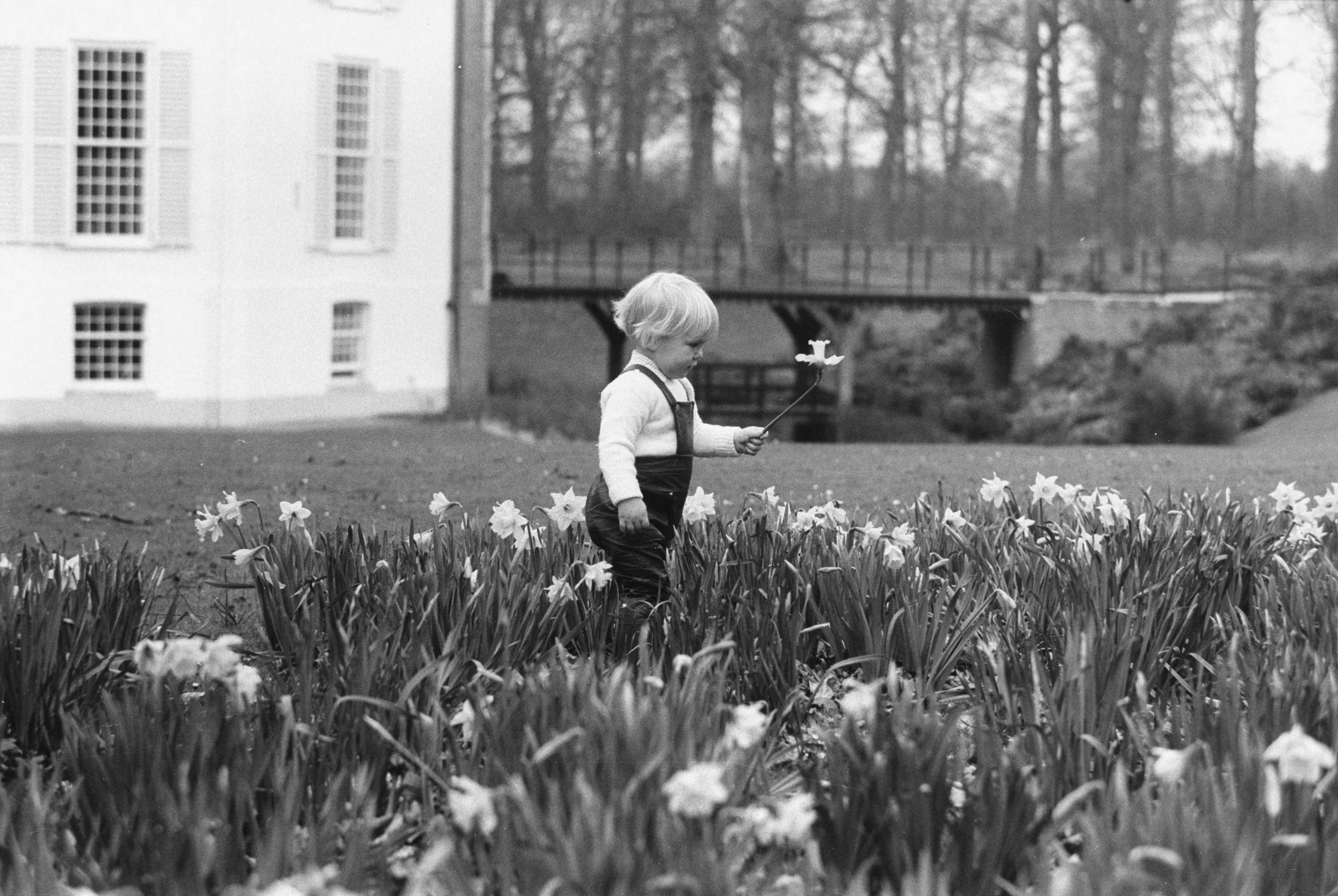 Fotocollectie RVD / Koninklijk Huis — Prins Willem-Alexander 2 jaar oud — Foto: Rousel (repro) / RVD. Licentie: Set B: Rechtenvrij / Publiek Domein. Bron: Nationaal Archief. http://hdl.handle.net/10648/afb9d77a-d0b4-102d-bcf8-003048976d84