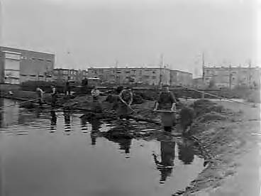 Fotocollectie Anefo — Najaarschoonmaak van de vijver Segbroeklaan te Den Haag — Foto: Behrens, Herbert F. / Anefo. Licentie: Set B: Rechtenvrij / Publiek Domein. Bron: Nationaal Archief. http://hdl.handle.net/10648/a96aacd2-d0b4-102d-bcf8-003048976d84