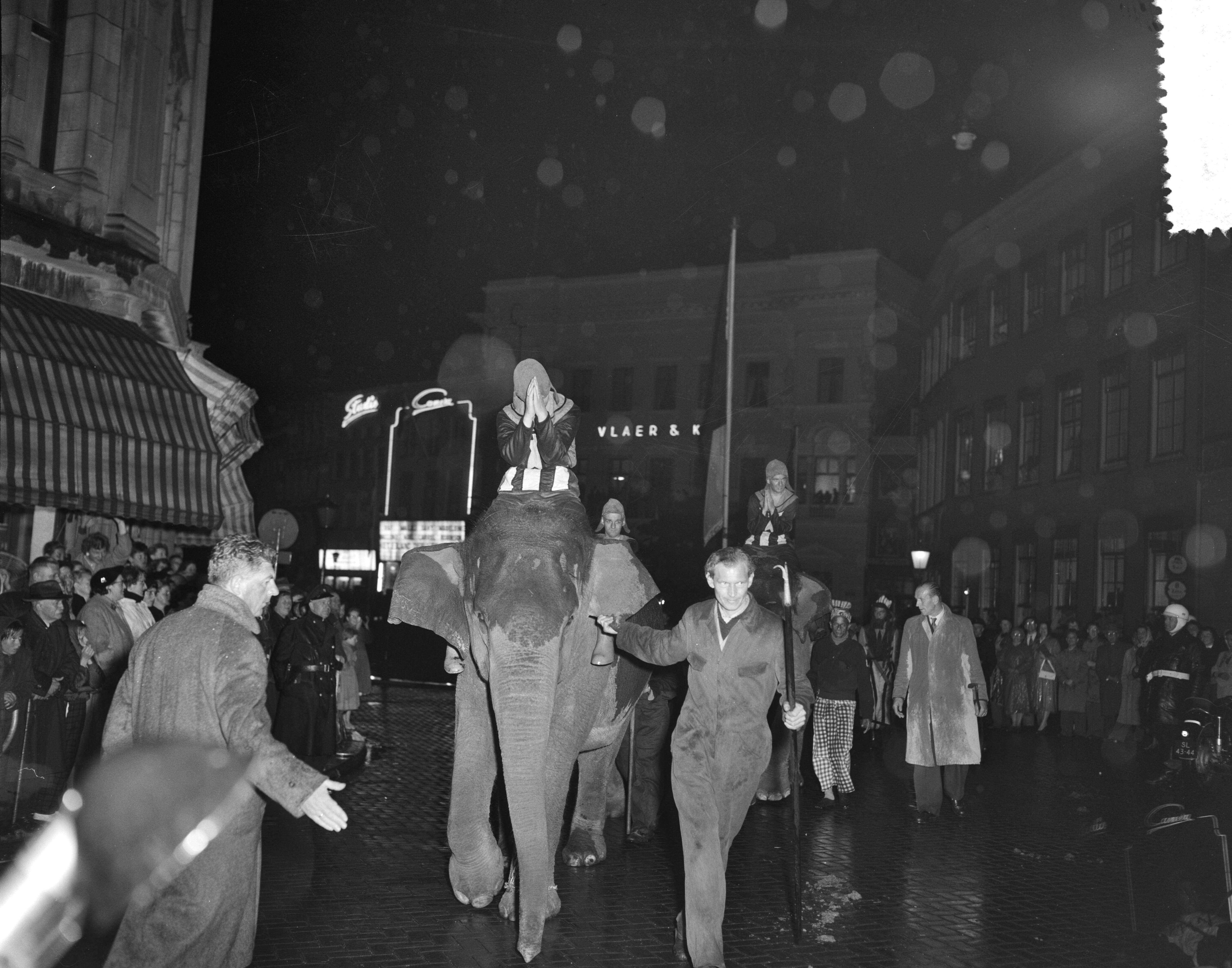 Lustrum USC Utrecht (1956) — USC-lustrumspel "Xerxes". Olifanten in een optocht — Foto: Bilsen, Joop van / Anefo. Licentie: Set B: Rechtenvrij / Publiek Domein. Bron: Nationaal Archief. http://hdl.handle.net/10648/a94b2c9a-d0b4-102d-bcf8-003048976d84