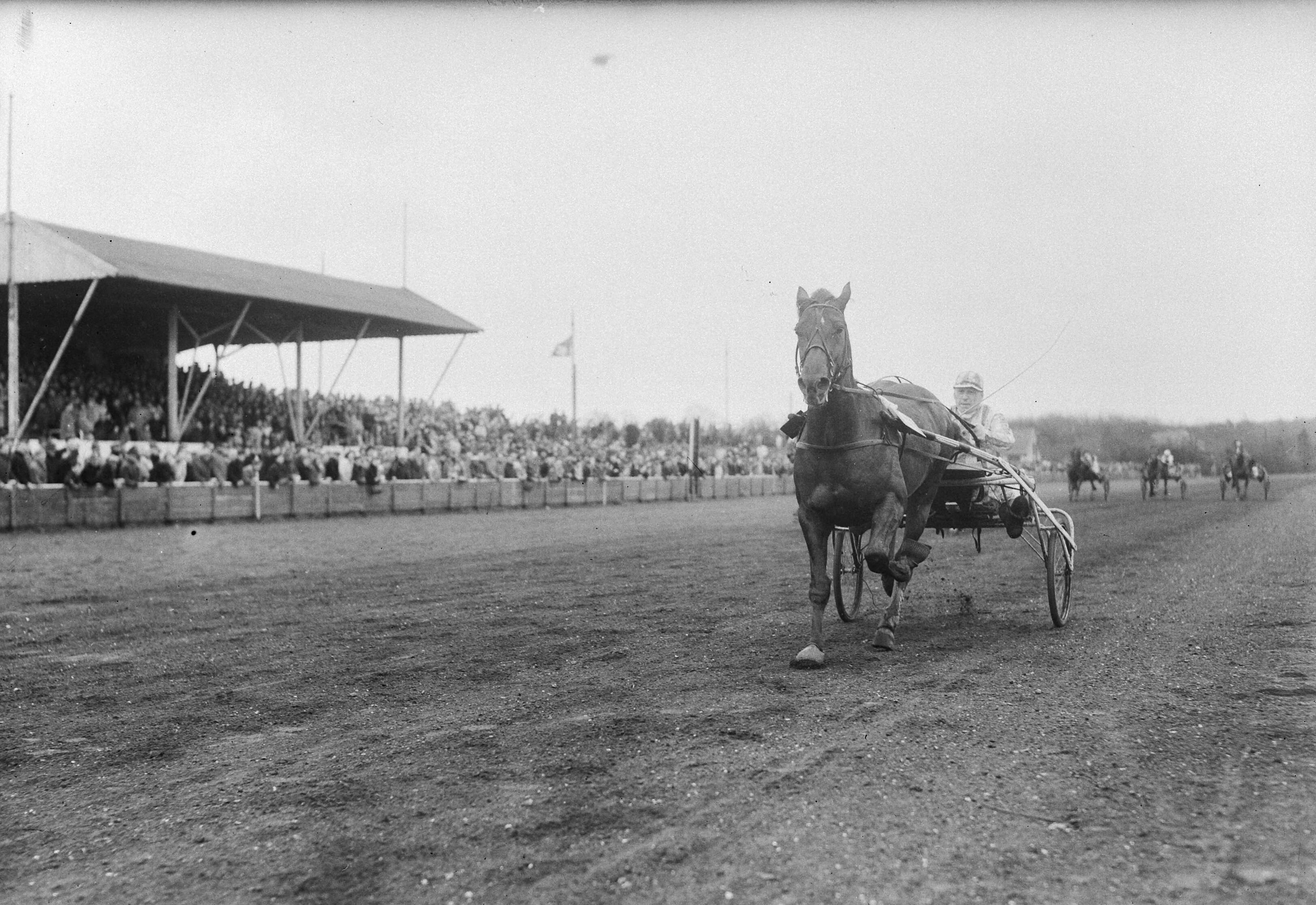 Fotocollectie Anefo — Grote paasprijs draverij in Hilversum, "Legality" winnaar — Foto: Oorschot, […] van / Anefo. Licentie: Set B: Rechtenvrij / Publiek Domein. Bron: Nationaal Archief. http://hdl.handle.net/10648/a8d6eb78-d0b4-102d-bcf8-003048976d84