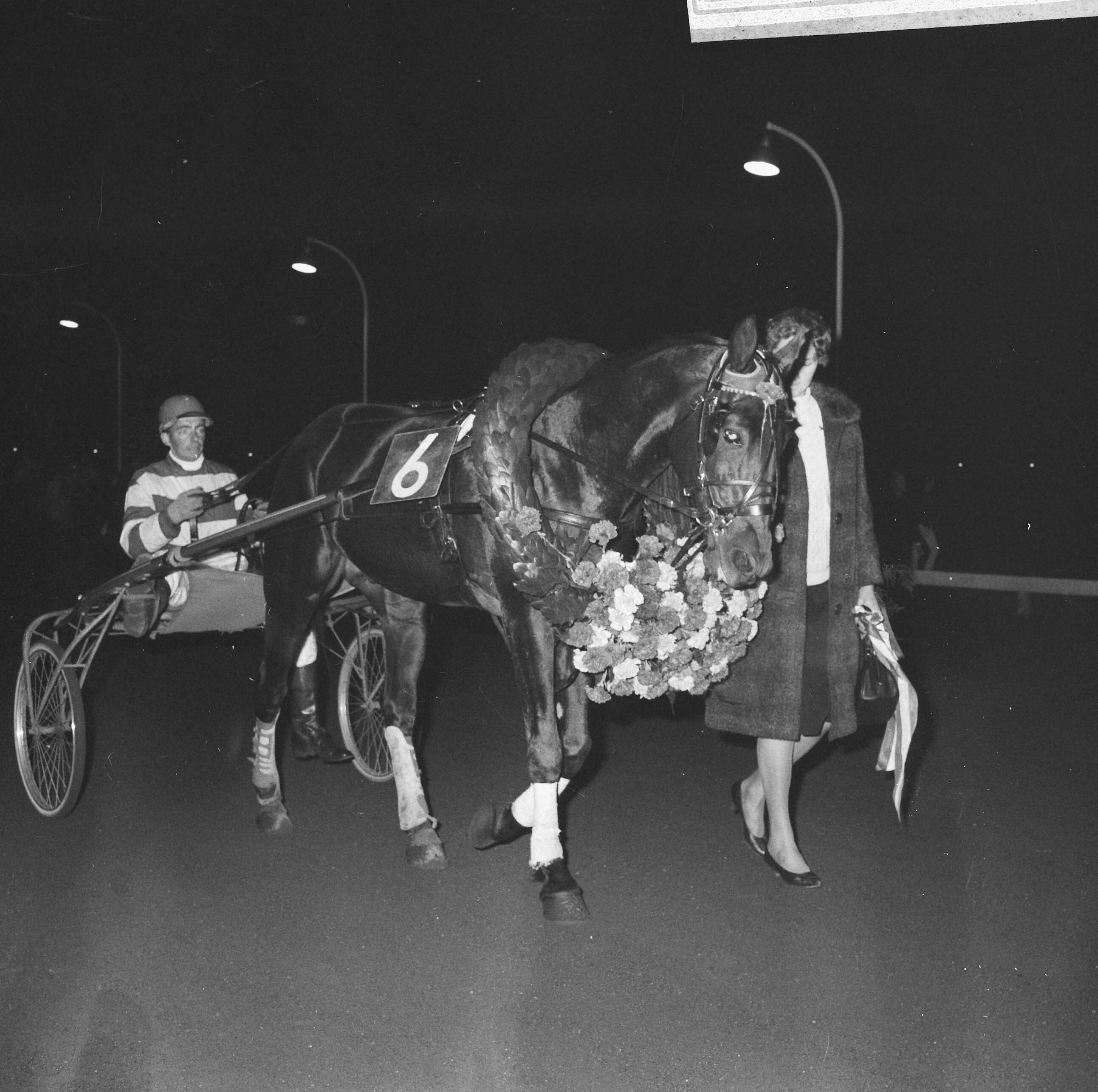 Paard Quicksilver S. terwijl het gehuldigd wordt op de Hilversumse renbaan — Huldiging van het paard Quicksilver S (draver) op de renbaan van Hilversum. Jan Wagenaar jr. in de sulky; zijn echtgenote lopend naast het paard — Foto: Kroon, Ron / Anefo. Licentie: Set B: Rechtenvrij / Publiek Domein. Bron: Nationaal Archief. http://hdl.handle.net/10648/aac7a86e-d0b4-102d-bcf8-003048976d84