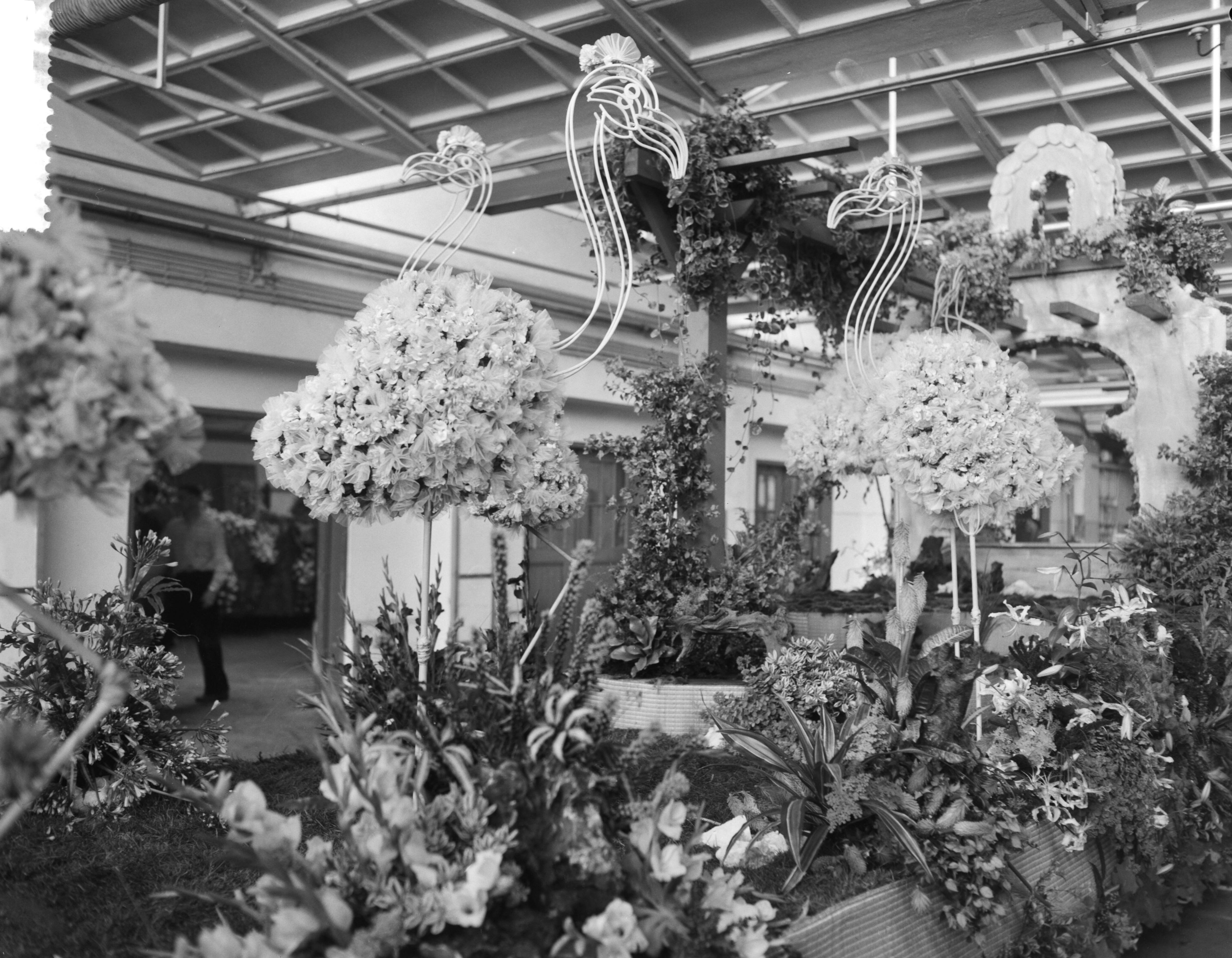 Fotocollectie Anefo — Praalwagens worden opgesierd in de Aalsmeerder veilinghallen voor het bloemencorso — Foto: Bilsen, Joop van / Anefo. Licentie: Set B: Rechtenvrij / Publiek Domein. Bron: Nationaal Archief. http://hdl.handle.net/10648/a9b8435c-d0b4-102d-bcf8-003048976d84