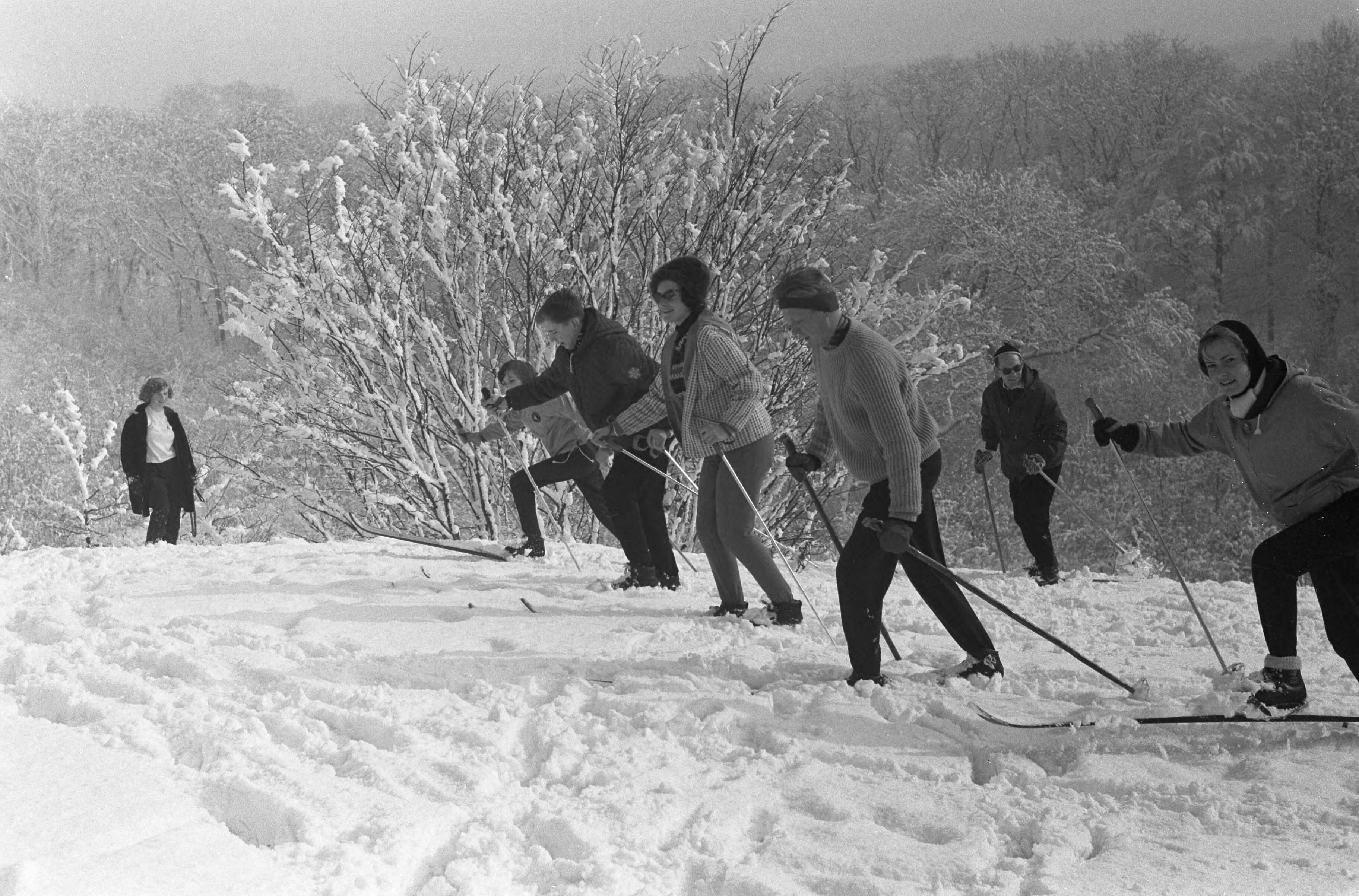 Fotocollectie Anefo — Wintersport op de Blinkert in Overveen — Foto: Pot, Harry / Anefo. Licentie: Set B: Rechtenvrij / Publiek Domein. Bron: Nationaal Archief. http://hdl.handle.net/10648/a9fb5e8a-d0b4-102d-bcf8-003048976d84