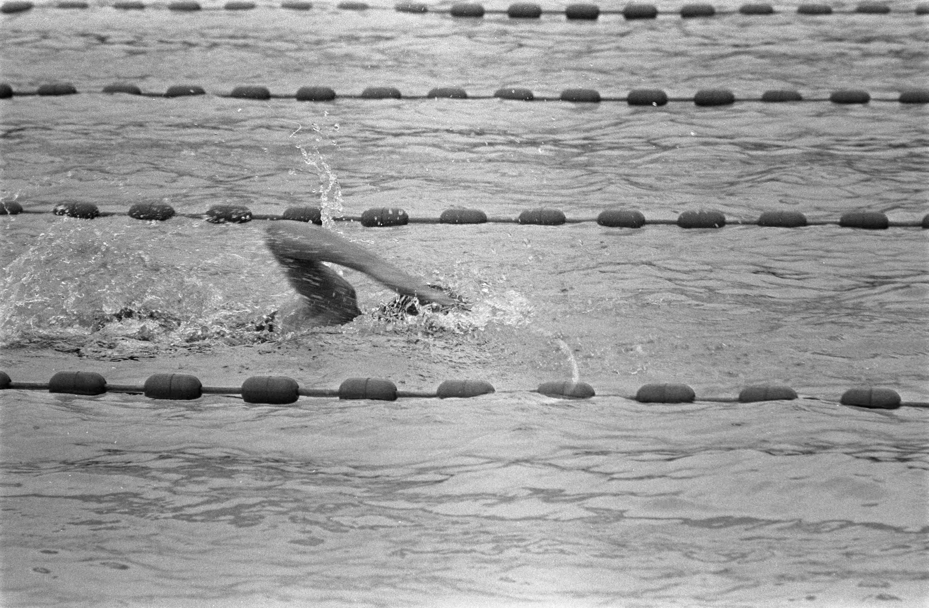 Fotocollectie Anefo — Nationale kampioenschappen zwemmen, Leeuwarden — Foto: Verhoeff, Bert / Anefo. Licentie: Set B: Rechtenvrij / Publiek Domein. Bron: Nationaal Archief. http://hdl.handle.net/10648/ab9ce10a-d0b4-102d-bcf8-003048976d84