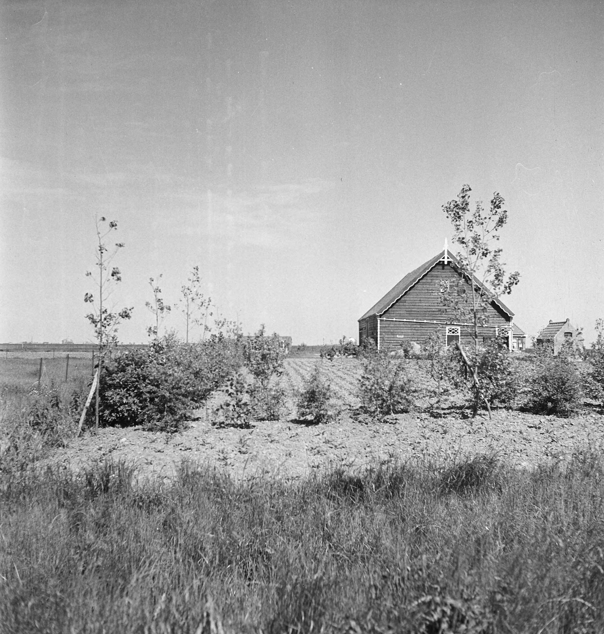 Fotocollectie Nederlandse Heidemaatschappij — [geen bijschrift. Wellicht herbeplanting landgoed "ter Hooge" in het 2e jaar van de aanleg — Foto: Tromp, [...] / Heidemij. Licentie: Set B: Rechtenvrij / Publiek Domein. Bron: Nationaal Archief. http://hdl.handle.net/10648/ae800776-d0b4-102d-bcf8-003048976d84
