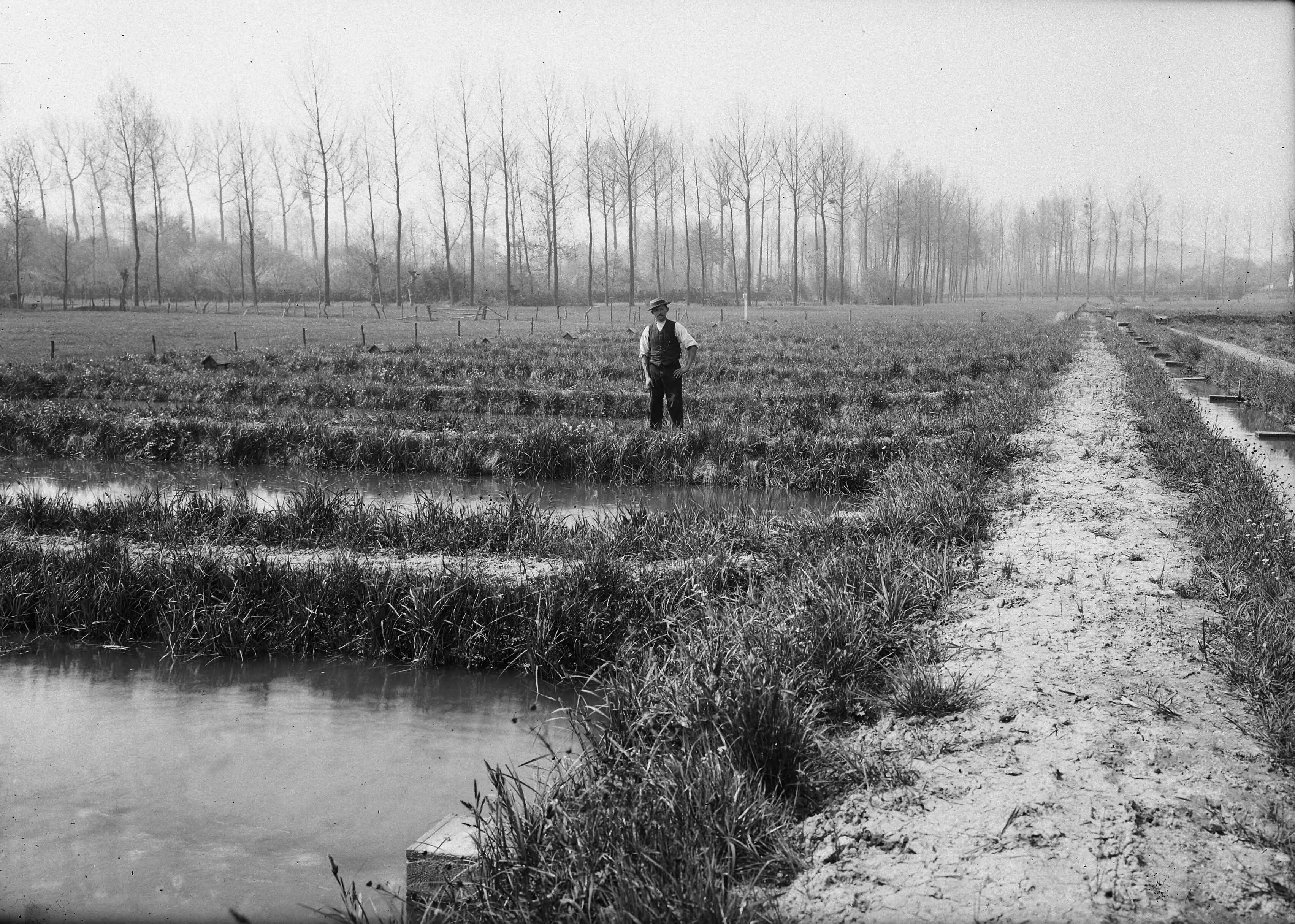 Fotocollectie Nederlandse Heidemaatschappij — Kweekvijvers te Gulpen — Foto: Fotograaf Onbekend / Heidemij. Licentie: Set B: Rechtenvrij / Publiek Domein. Bron: Nationaal Archief. http://hdl.handle.net/10648/ae7c3f92-d0b4-102d-bcf8-003048976d84