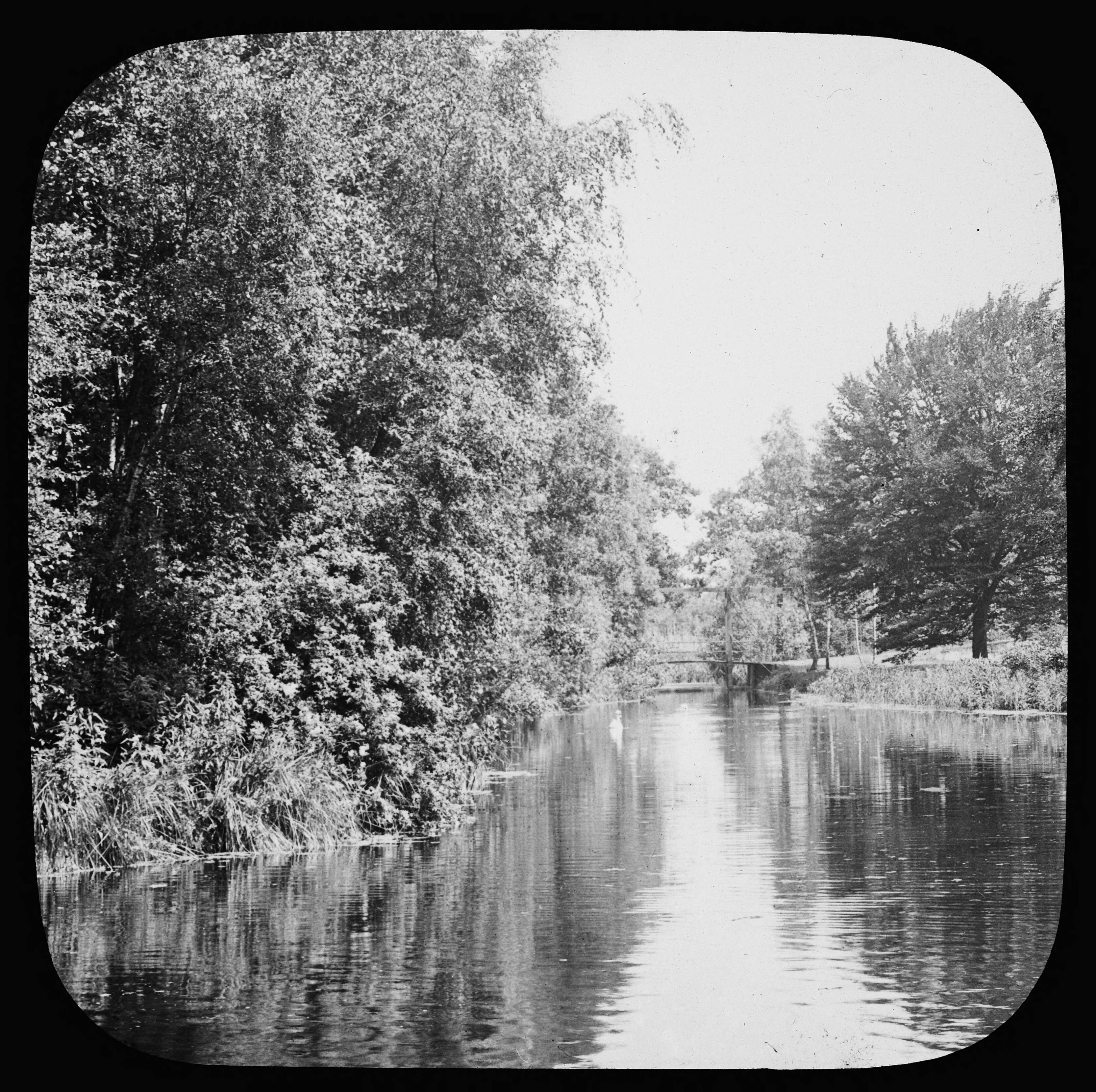 Fotocollectie Nederlandse Heidemaatschappij — parkgezicht — Foto: Fotograaf Onbekend / Heidemij. Licentie: Set B: Rechtenvrij / Publiek Domein. Bron: Nationaal Archief. http://hdl.handle.net/10648/ae49bb1c-d0b4-102d-bcf8-003048976d84