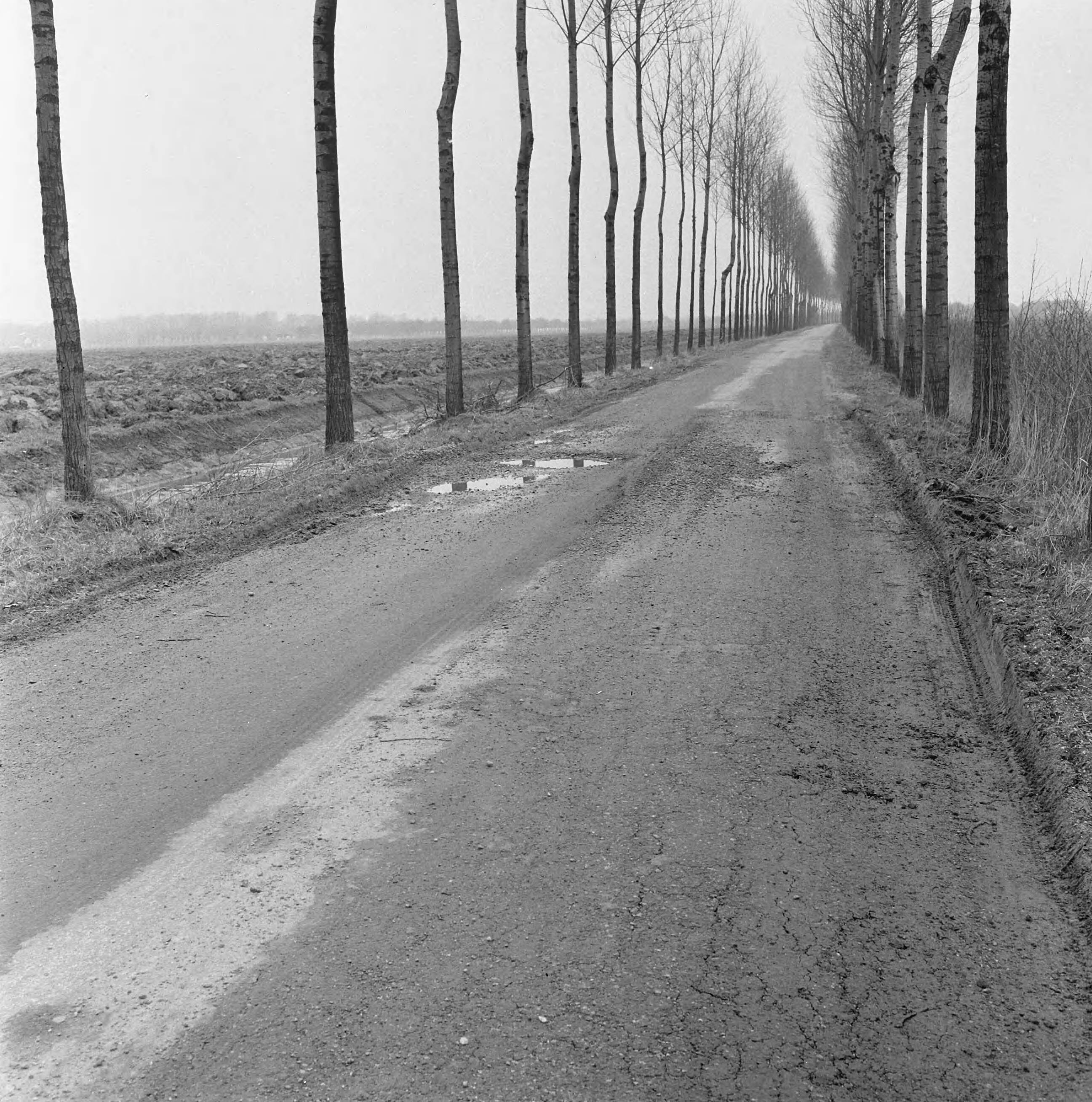 Fotocollectie Nederlandse Heidemaatschappij — Ruilverkaveling Vleuten. Joostenlaan. Met betonmolen in augustus 1956 gestabiliseerde gedeelte van de oude grind-sintelverharding op klei-ondergronf, met deklaagje van teersteenslag. Funderingsdikte 12 1/2 cm. Toestand op 3 maart 1958. Deplorabel na toevallig zwaar en intensief zandtransport — Foto: Wüllschleger, [...] / Heidemij. Licentie: Set B: Rechtenvrij / Publiek Domein. Bron: Nationaal Archief. http://hdl.handle.net/10648/ae714498-d0b4-102d-bcf8-003048976d84