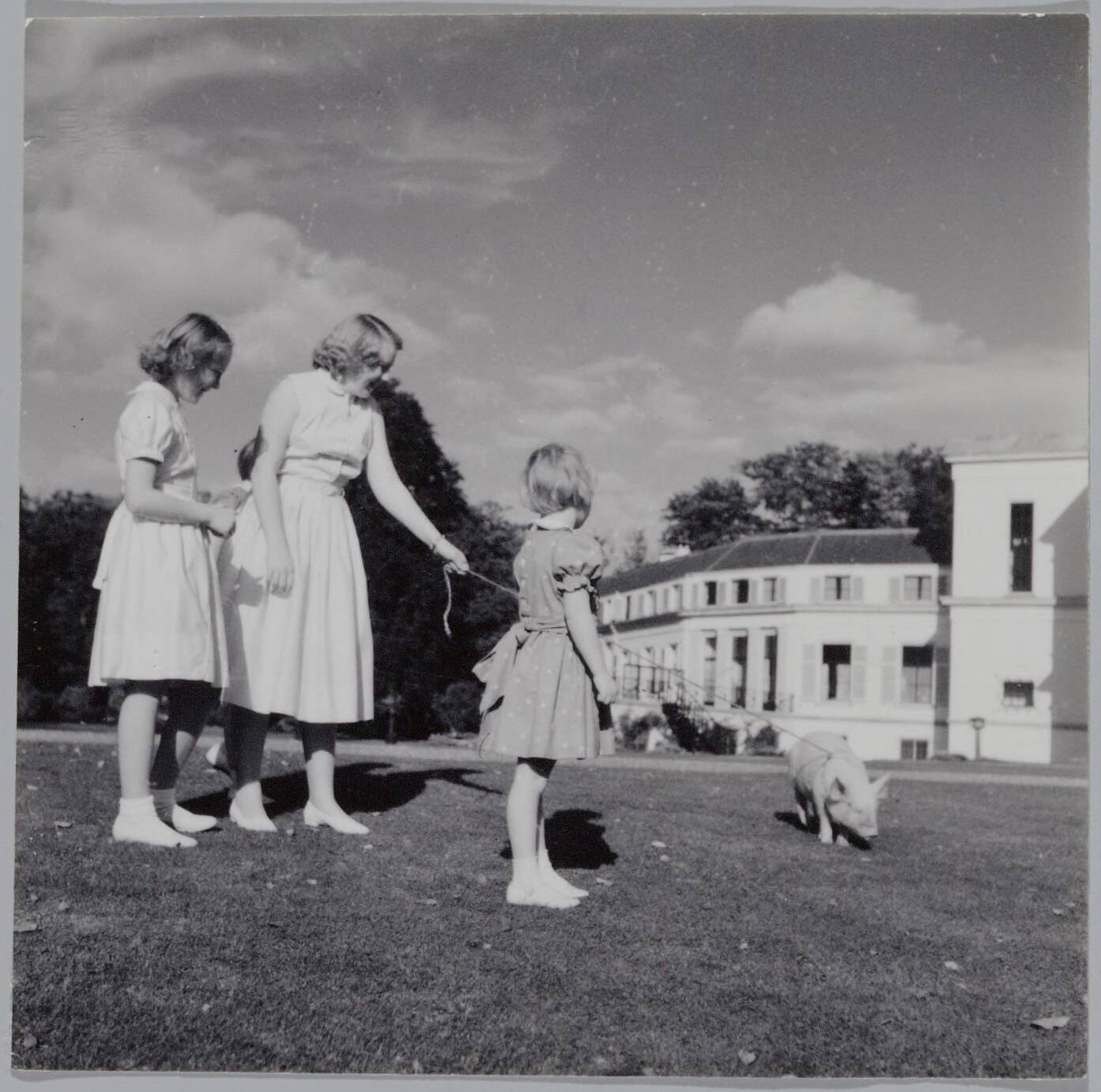 Fotocollectie RVD / Koninklijk Huis — De prinsessen Beatrix, Irene, Margriet en Marijke met een varken bij Paleis Soestdijk — Foto: Onbekend / RVD. Licentie: Set B: Rechtenvrij / Publiek Domein. Bron: Nationaal Archief. http://hdl.handle.net/10648/afb05010-d0b4-102d-bcf8-003048976d84
