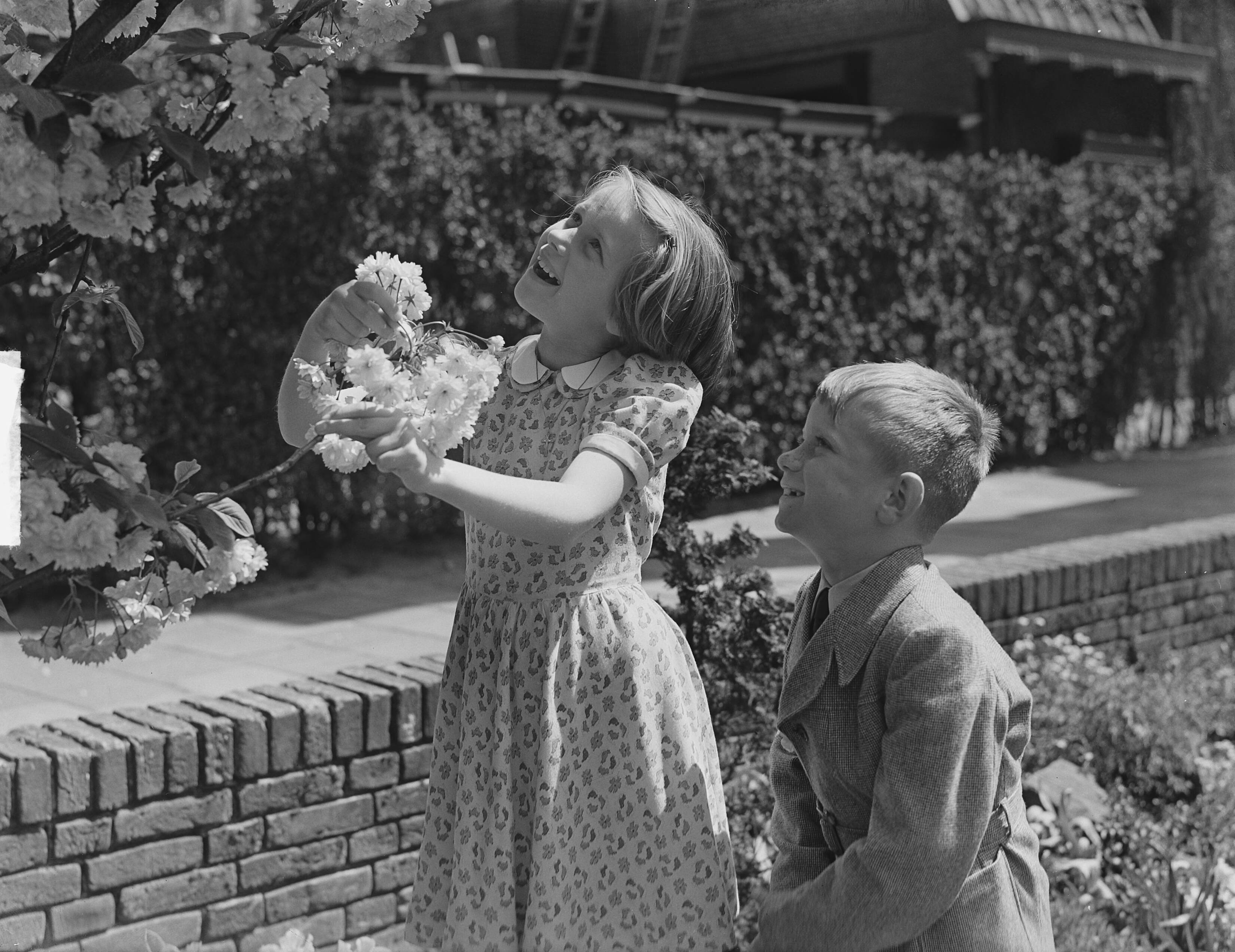 Communiefeest Th. Smulder (Voorburg) — Communiefeest Heer Th. Smulders (Voorburg) — Foto: Bilsen, Joop van / Anefo. Licentie: Set B: Rechtenvrij / Publiek Domein. Bron: Nationaal Archief. http://hdl.handle.net/10648/a8e9fc54-d0b4-102d-bcf8-003048976d84