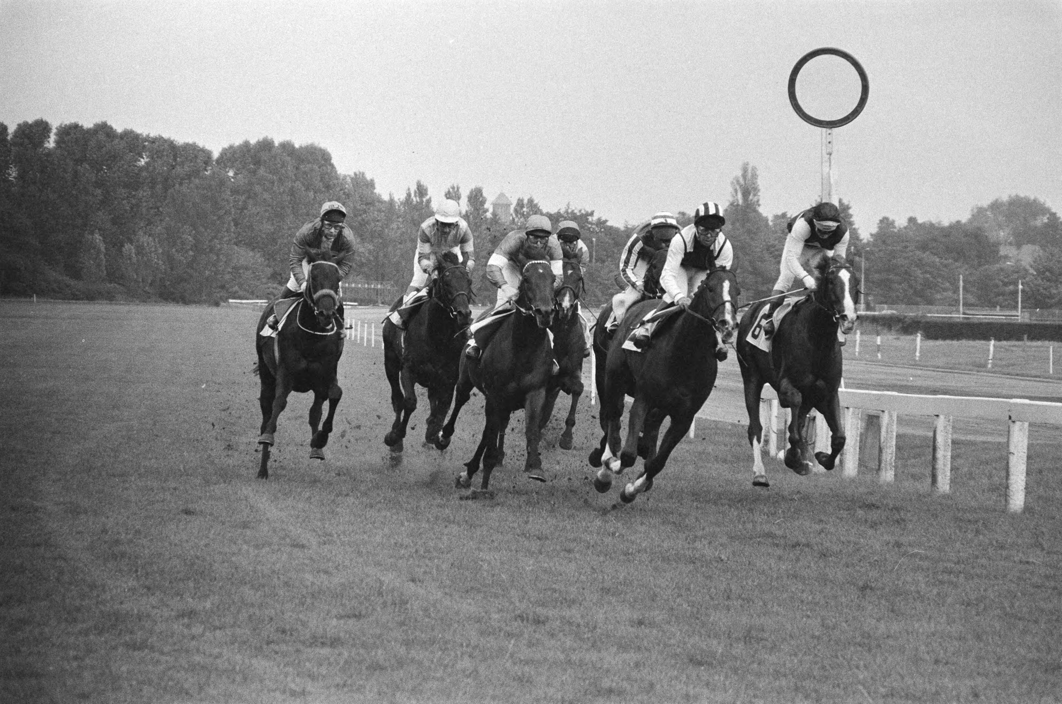 Grote Prijs der Nederlanden 1980 op Duindigt in Wassenaar — Corrals Bond met jockey B.A. Rouse uit Engeland wint de race, Blondie met jockey A. W. Jones (r) — Foto: Dijk, Hans van / Anefo. Licentie: Set B: Rechtenvrij / Publiek Domein. Bron: Nationaal Archief. http://hdl.handle.net/10648/ace7b166-d0b4-102d-bcf8-003048976d84