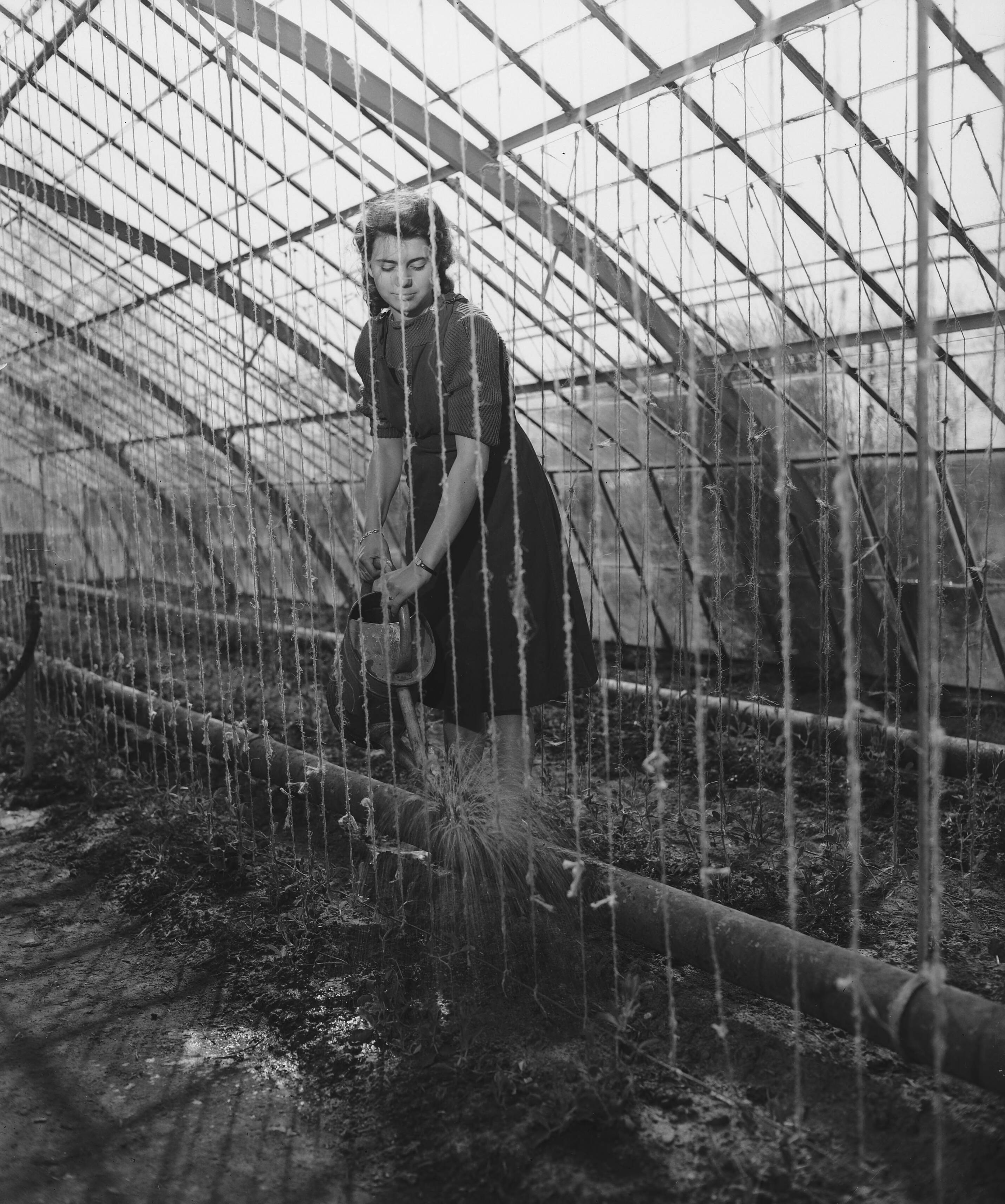 Fotocollectie Anefo — Tuinbouwschool "Huize te Lande" Rijswijk — Foto: Raucamp, Koos / Anefo. Licentie: Set B: Rechtenvrij / Publiek Domein. Bron: Nationaal Archief. http://hdl.handle.net/10648/a89b497e-d0b4-102d-bcf8-003048976d84