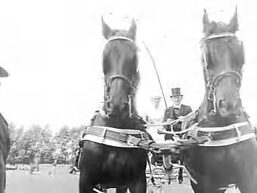Fotocollectie Anefo — Concours hippique te Leeuwarden — Foto: Noske, J.D. / Anefo. Licentie: Set B: Rechtenvrij / Publiek Domein. Bron: Nationaal Archief. http://hdl.handle.net/10648/a966752c-d0b4-102d-bcf8-003048976d84