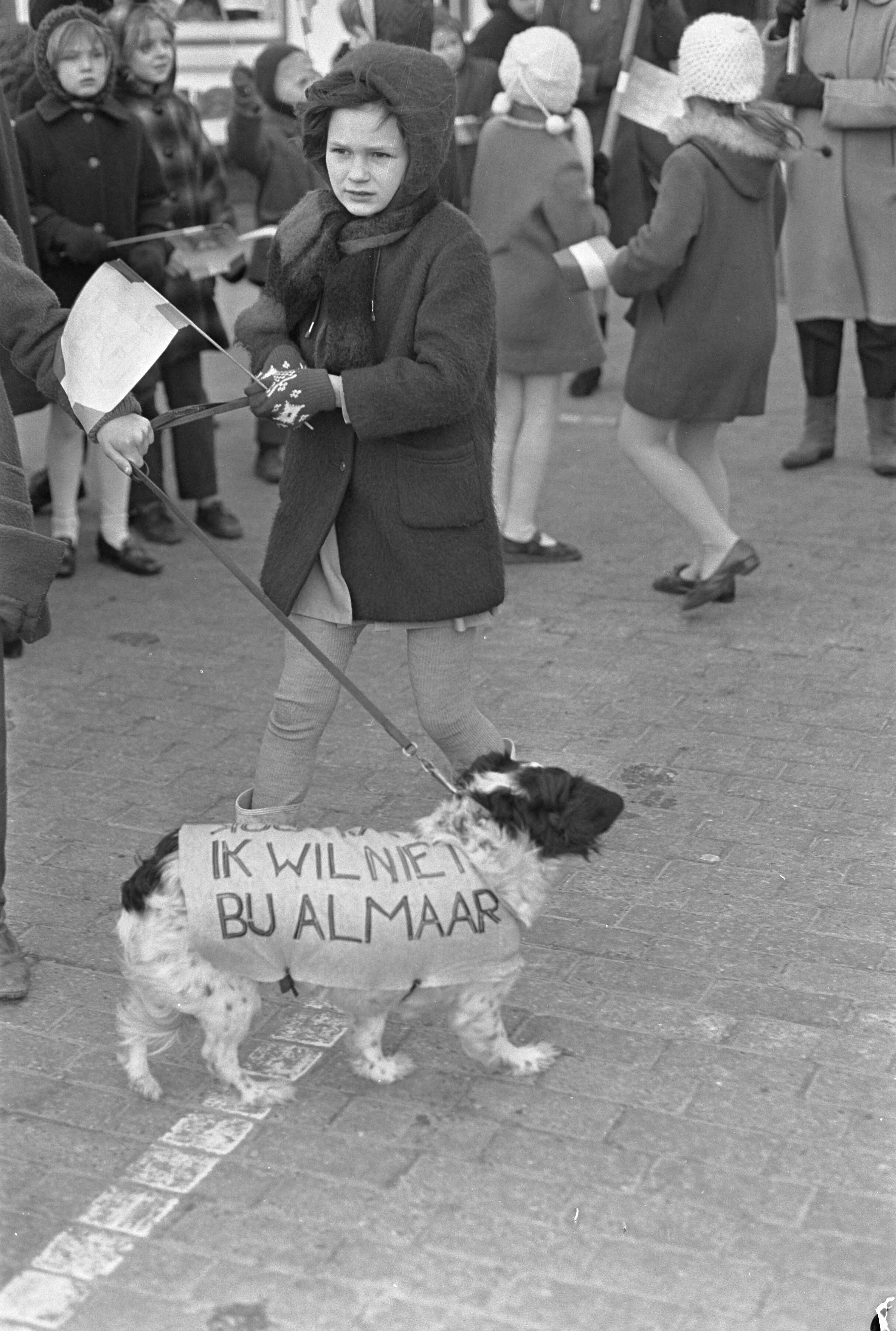 Fotocollectie Anefo — Demonstratie tegen annexatie van Koedijk en St. Pancras door Alkmaar mensen met bord — Foto: Nijs, Jac. de / Anefo. Licentie: Set B: Rechtenvrij / Publiek Domein. Bron: Nationaal Archief. http://hdl.handle.net/10648/ab5cdbbe-d0b4-102d-bcf8-003048976d84