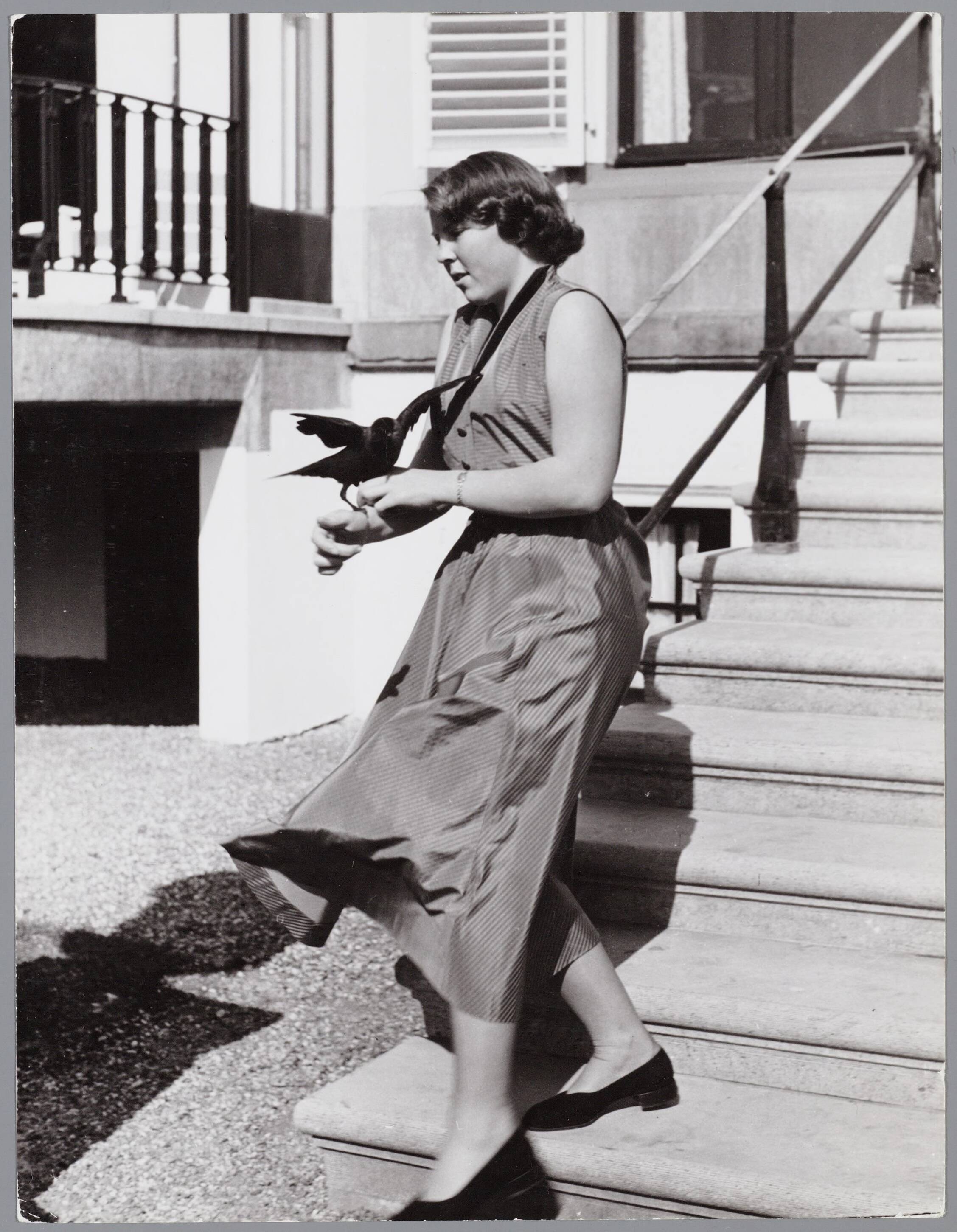 Fotocollectie RVD / Koninklijk Huis — Prinses Beatrix met een kraai op op de trappen van Paleis Soestdijk — Foto: Reijken, Tiemen van der / RVD. Licentie: Set B: Rechtenvrij / Publiek Domein. Bron: Nationaal Archief. http://hdl.handle.net/10648/afb04d04-d0b4-102d-bcf8-003048976d84