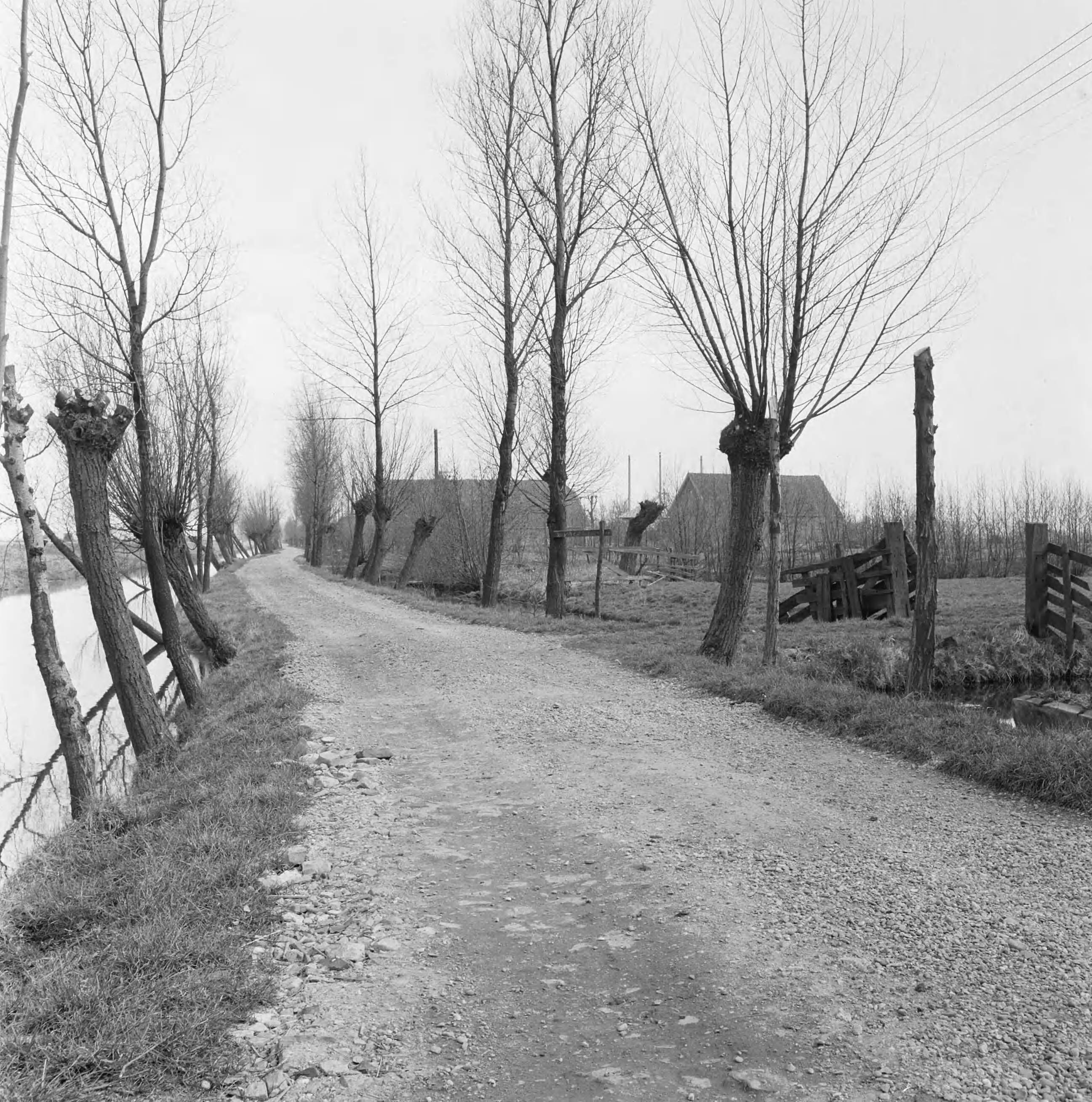 Fotocollectie Nederlandse Heidemaatschappij — Reyerkopperbuurtweg in de gem. Vleuten-De Meern — Foto: Wüllschleger, [...] / Heidemij. Licentie: Set B: Rechtenvrij / Publiek Domein. Bron: Nationaal Archief. http://hdl.handle.net/10648/ae7149d4-d0b4-102d-bcf8-003048976d84