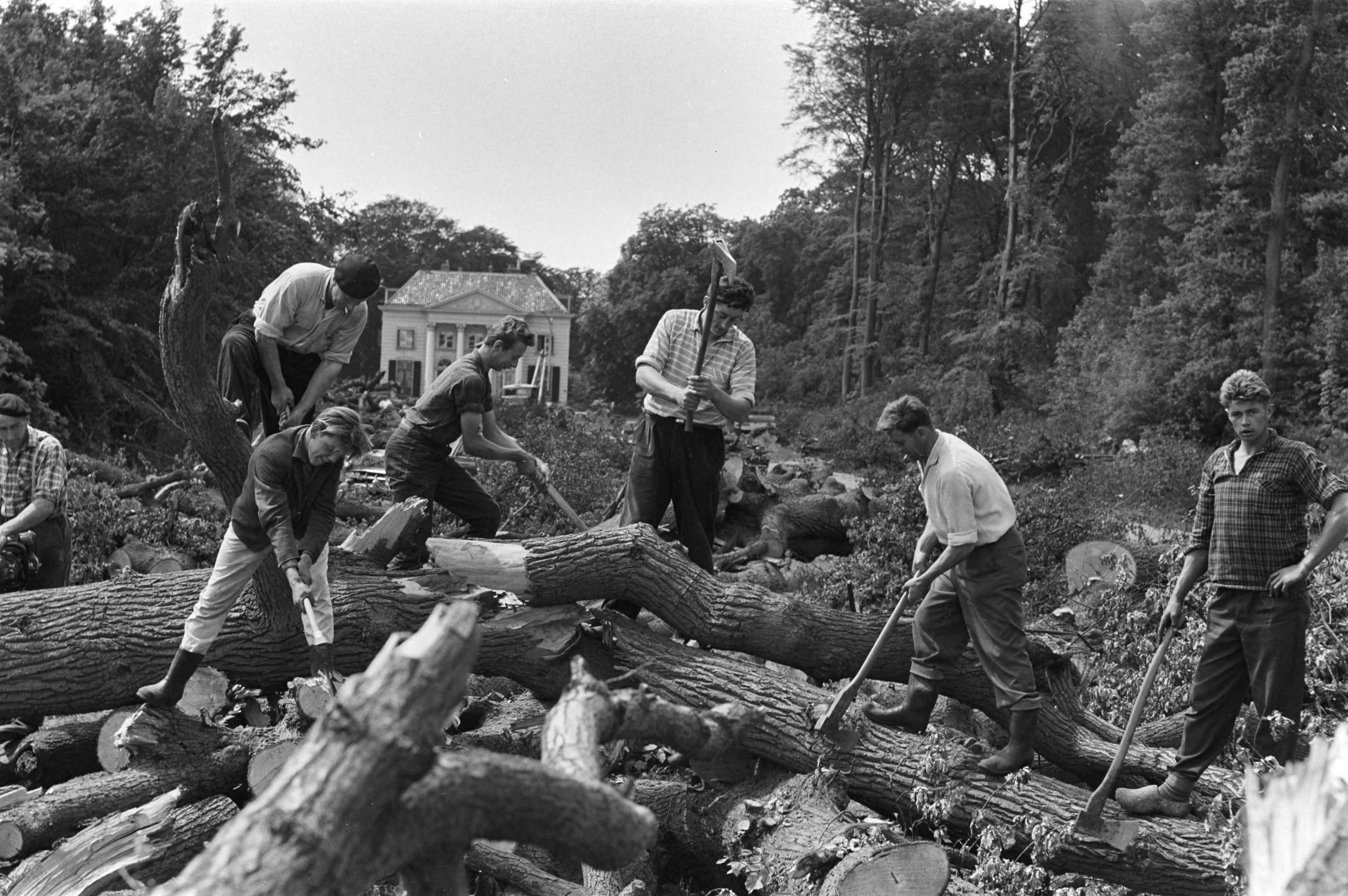 Fotocollectie Anefo — Bomen worden geveld langs de Spanjaardslaan in de Haarlemmer Hout — Foto: Pot, Harry / Anefo. Licentie: Set B: Rechtenvrij / Publiek Domein. Bron: Nationaal Archief. http://hdl.handle.net/10648/a9d6f5e0-d0b4-102d-bcf8-003048976d84