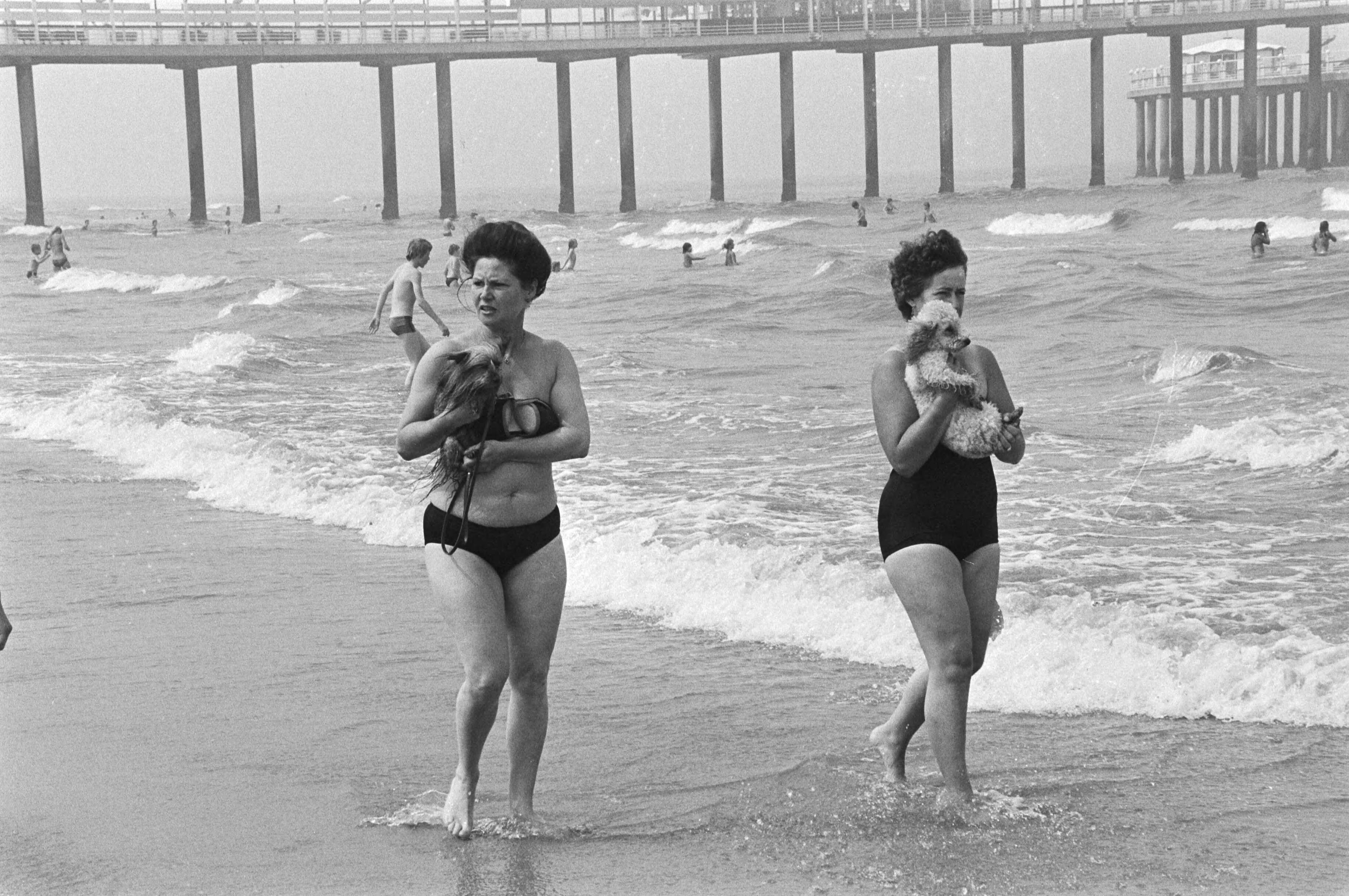Fotocollectie Anefo — Mooi weer strand Scheveningen; twee vrouwen met hondjes — Foto: Dijk, Hans van / Anefo. Licentie: Set B: Rechtenvrij / Publiek Domein. Bron: Nationaal Archief. http://hdl.handle.net/10648/ad01085a-d0b4-102d-bcf8-003048976d84
