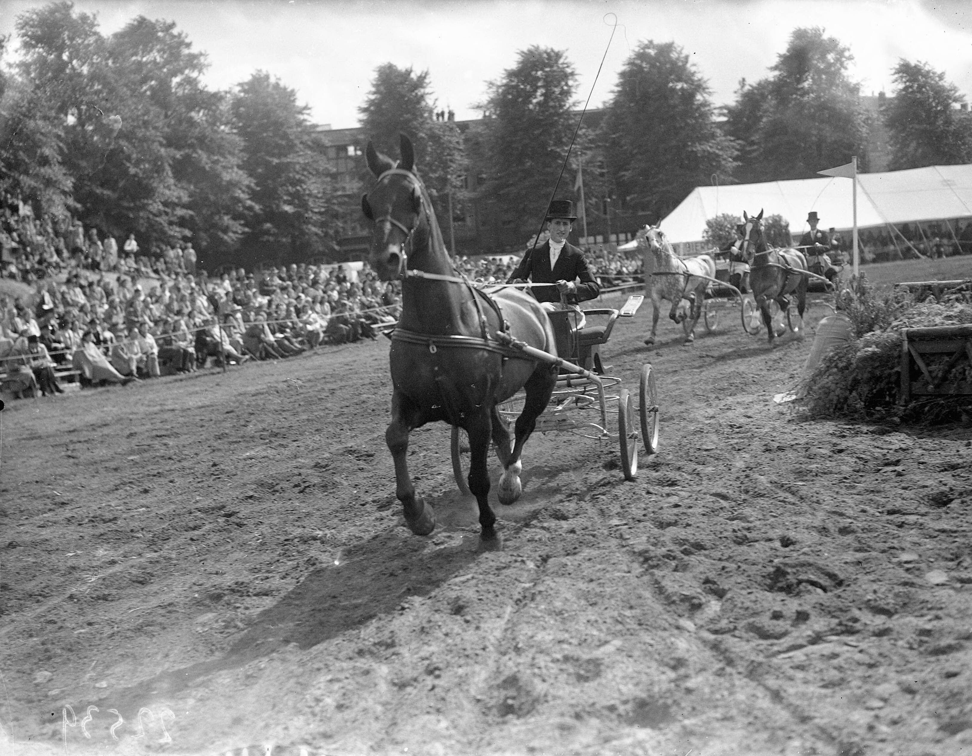 Fotocollectie Anefo — Concours Hippique Amsterdam — Foto: Noske, J.D. / Anefo. Licentie: Set B: Rechtenvrij / Publiek Domein. Bron: Nationaal Archief. http://hdl.handle.net/10648/a8aa5734-d0b4-102d-bcf8-003048976d84