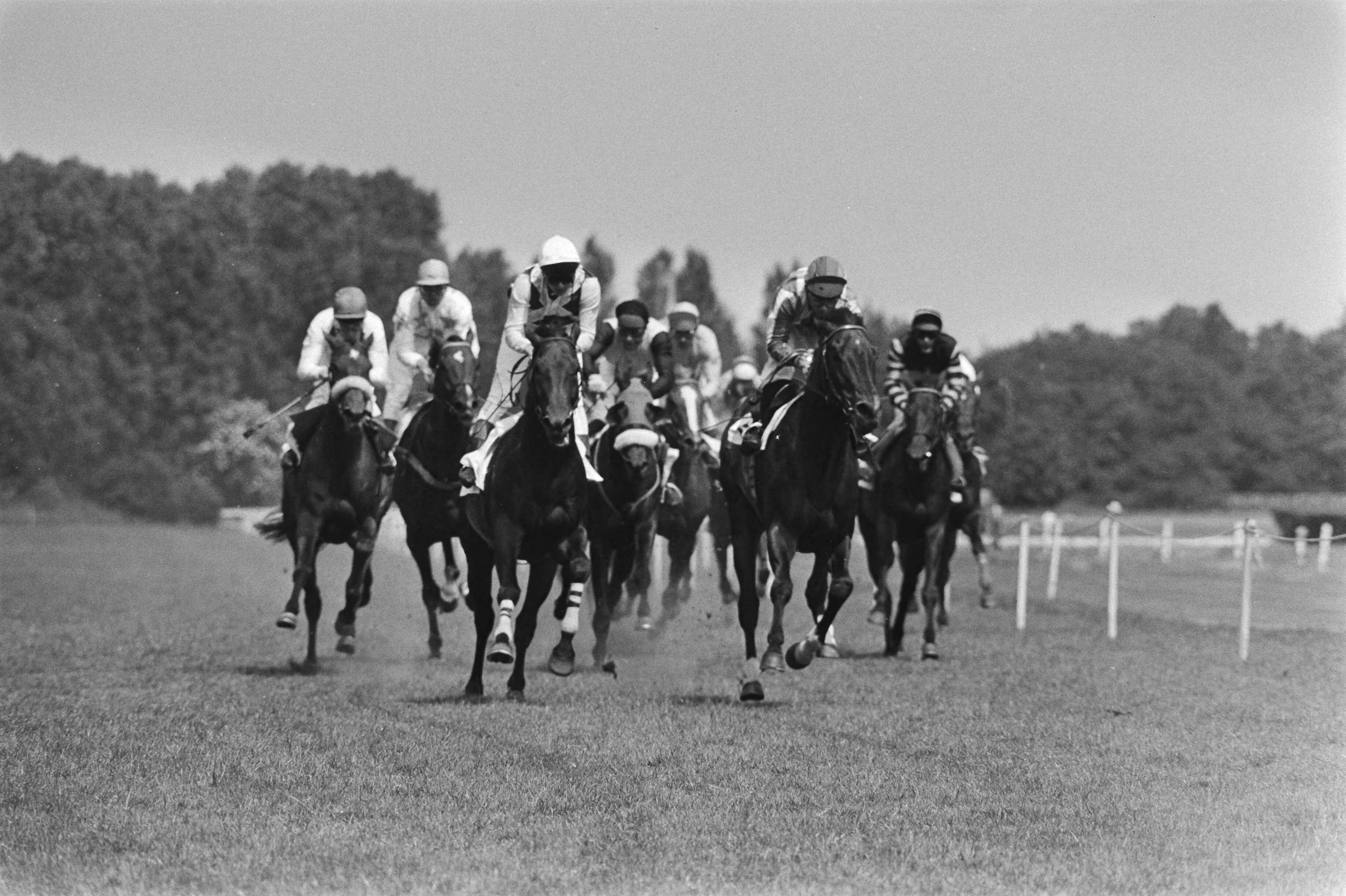 Grote Prijs der Lage Landen op paardensportbaan Duindigt — Duindigt|Zuid-Holland|Wassenaar|paardensport |races |paarden|Grote Prijs der Lage Landen — Foto: Croes, Rob C. / Anefo. Licentie: Set B: Rechtenvrij / Publiek Domein. Bron: Nationaal Archief. http://hdl.handle.net/10648/ad2b1726-d0b4-102d-bcf8-003048976d84