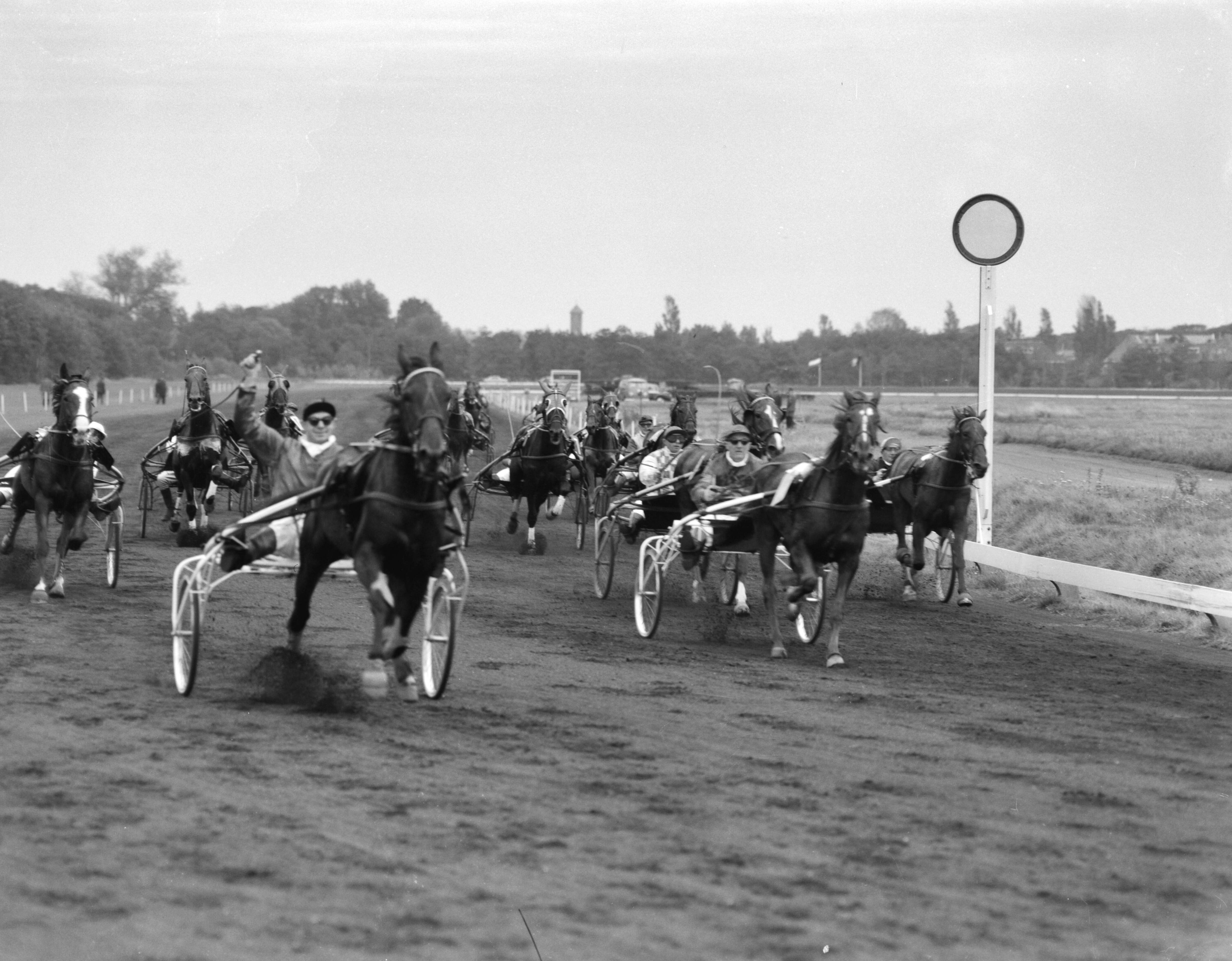 Fotocollectie Anefo — Nederland-Belgie-prijs (Draverijen te Duindigt), Astyanax (8), Troubadour (4), Albatros (5) en Hollandia (7) — Foto: Bilsen, Joop van / Anefo. Licentie: Set B: Rechtenvrij / Publiek Domein. Bron: Nationaal Archief. http://hdl.handle.net/10648/aa1980fe-d0b4-102d-bcf8-003048976d84
