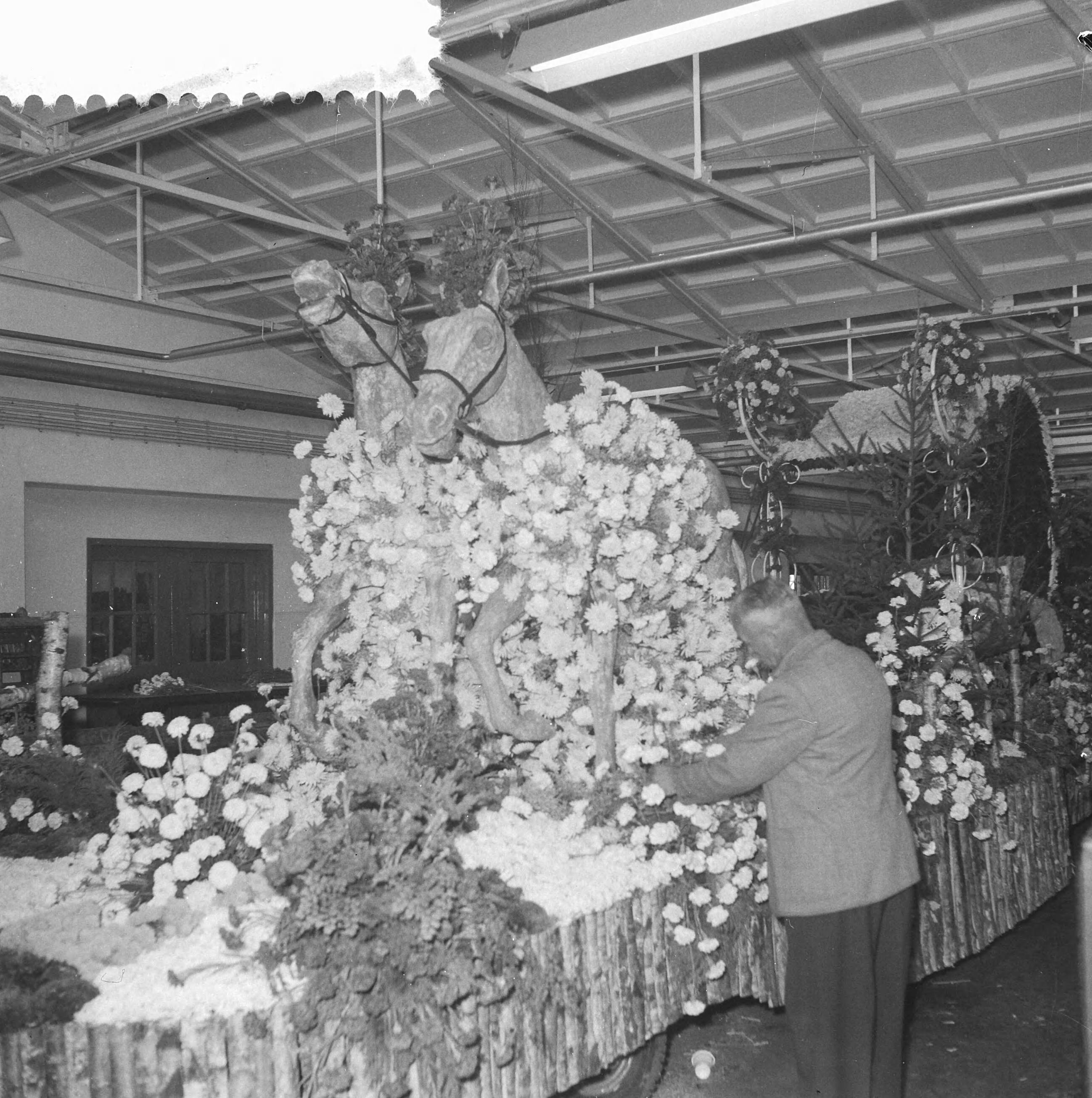 Fotocollectie Anefo — Voorbereidingen voor het bloemencorso — Foto: Noske, J.D. / Anefo. Licentie: Set B: Rechtenvrij / Publiek Domein. Bron: Nationaal Archief. http://hdl.handle.net/10648/a99cac3c-d0b4-102d-bcf8-003048976d84