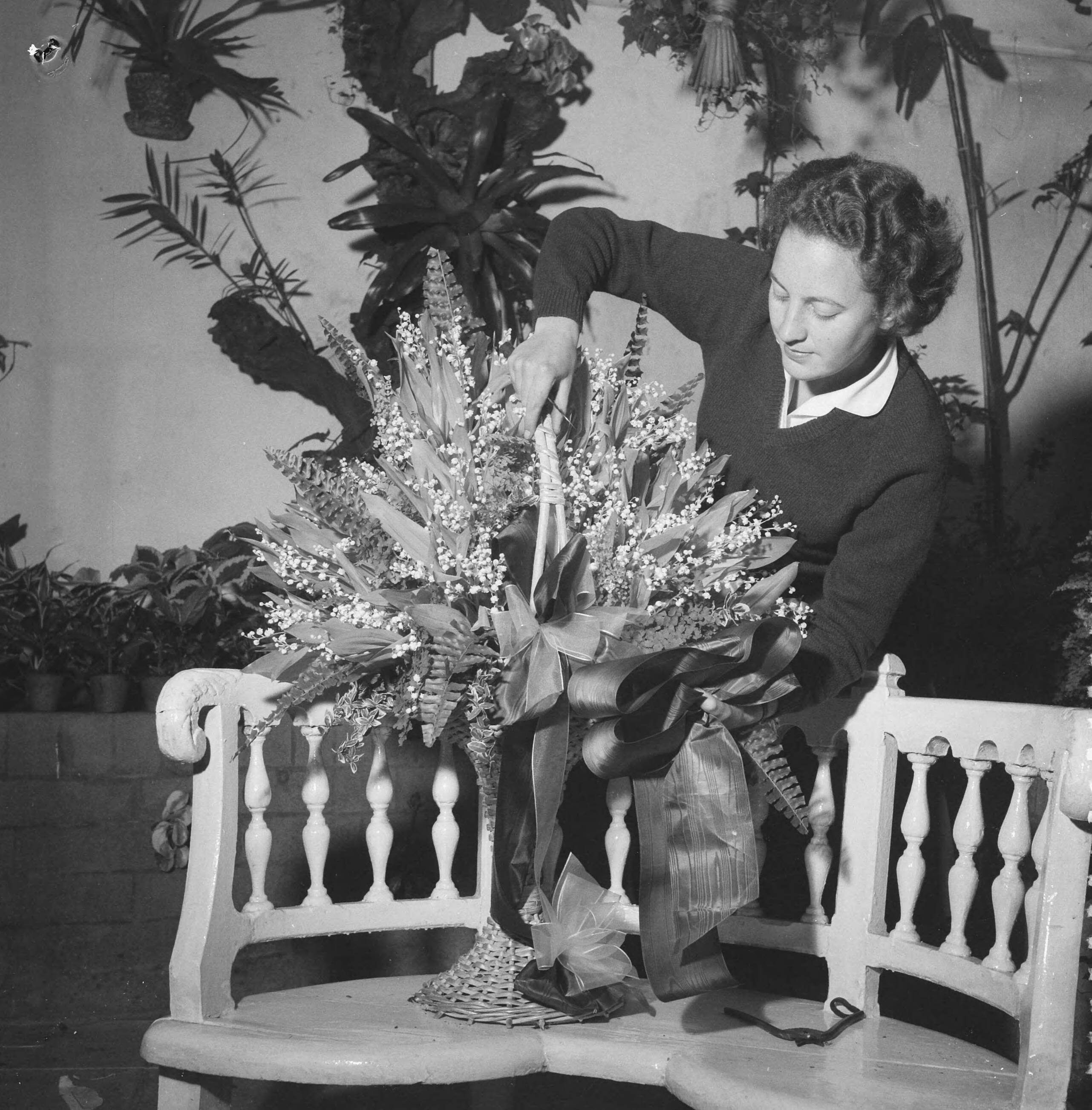 Fotocollectie Anefo — Flowershop in Haarlem ontvangt voor de derde maal een opdracht van het Perzische hof, laatste hand wordt gelegd aan een der bloemstukken — Foto: Pot, Harry / Anefo. Licentie: Set B: Rechtenvrij / Publiek Domein. Bron: Nationaal Archief. http://hdl.handle.net/10648/a9bc3c50-d0b4-102d-bcf8-003048976d84