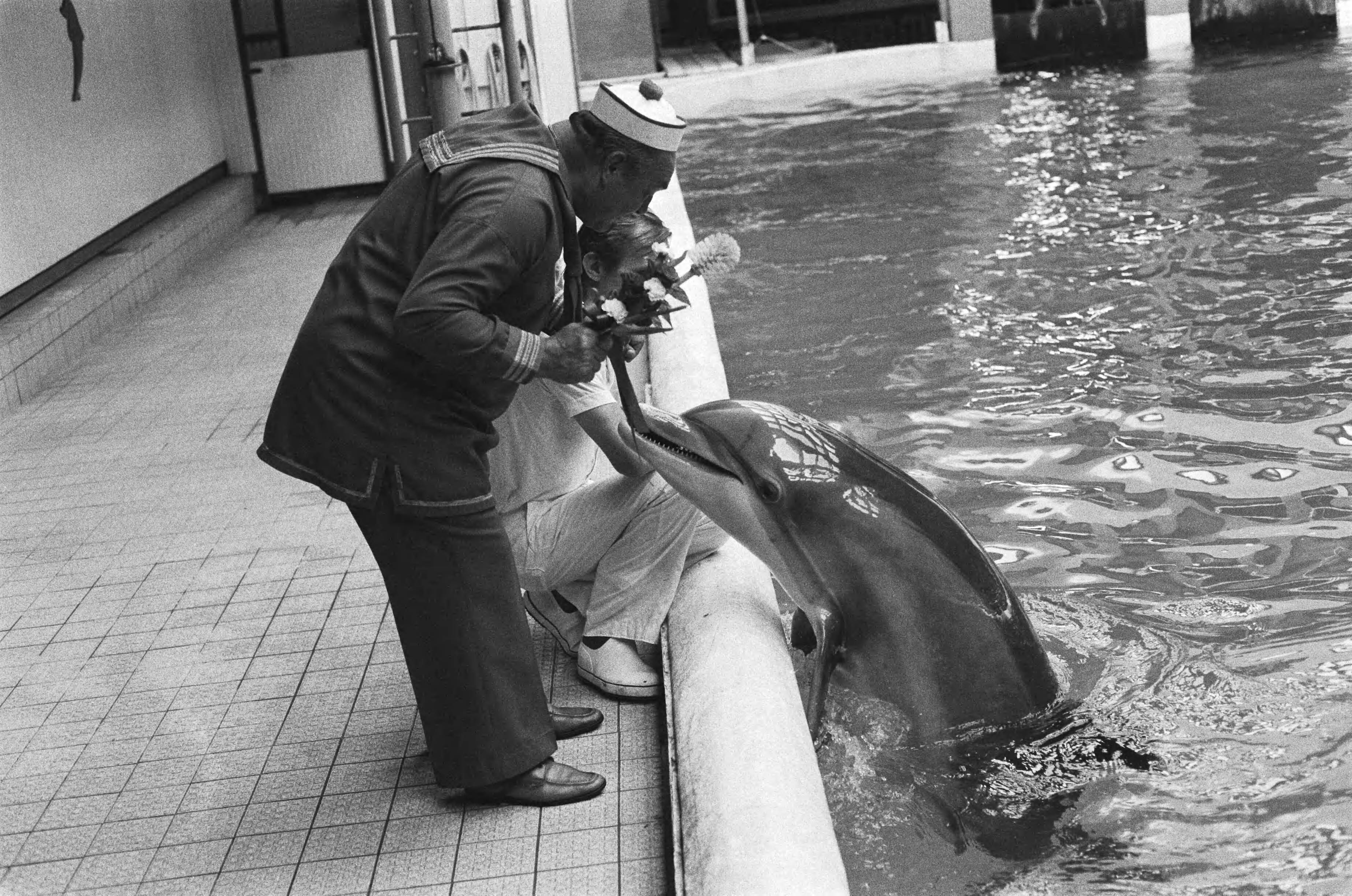 Dolfijn in Zandvoort, gedoopt met versierde afwasborstel, is vernoemd naar Peppi van het clownsduo Peppi en Kokki — De dolfijn Peppi — Foto: Antonisse, Marcel / Anefo. Licentie: Set B: Rechtenvrij / Publiek Domein. Bron: Nationaal Archief. http://hdl.handle.net/10648/ace838c0-d0b4-102d-bcf8-003048976d84