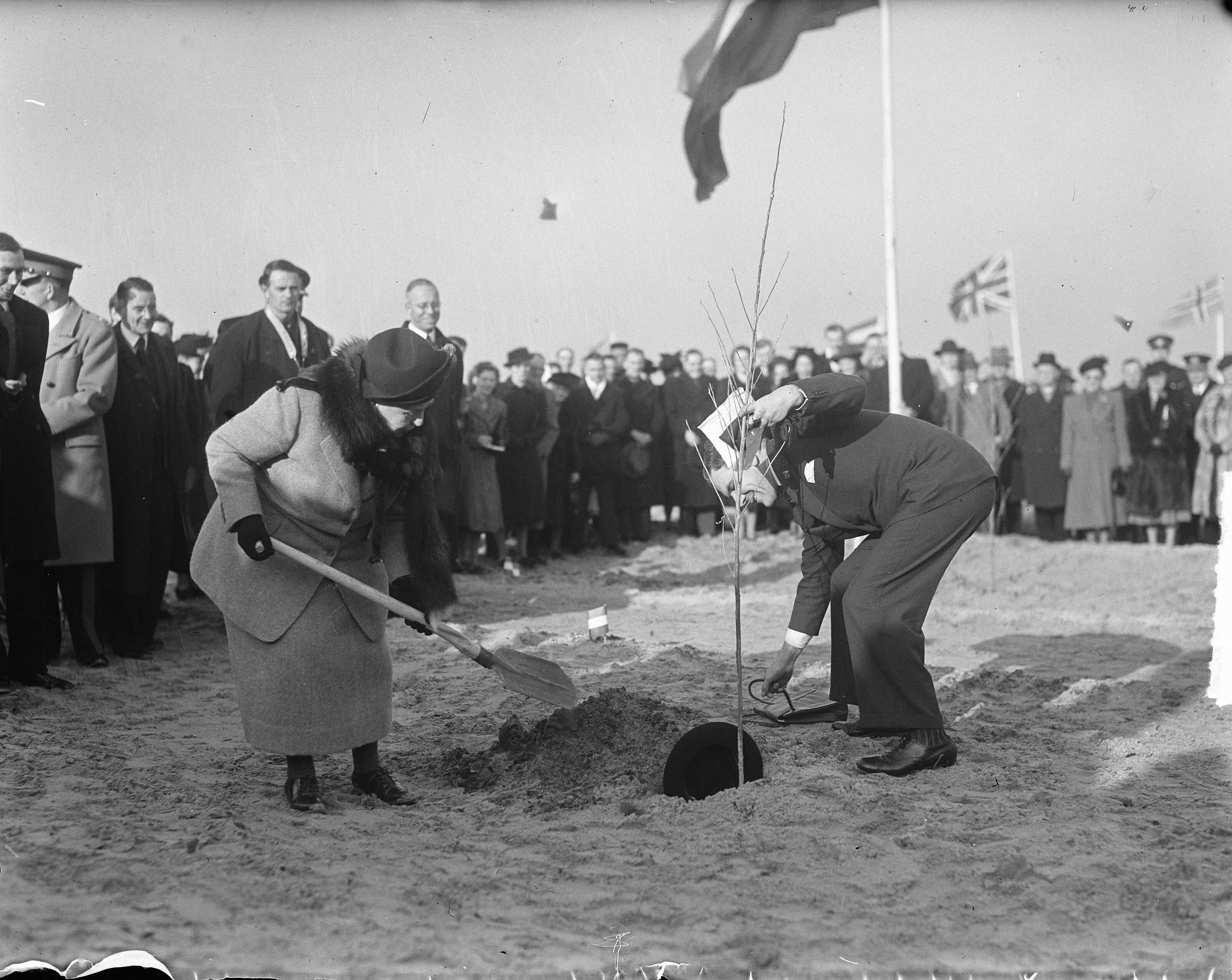 Fotocollectie Anefo — Boomplantdag te Westkapelle — Foto: Noske, J.D. / Anefo. Licentie: Set B: Rechtenvrij / Publiek Domein. Bron: Nationaal Archief. http://hdl.handle.net/10648/a8c02e38-d0b4-102d-bcf8-003048976d84