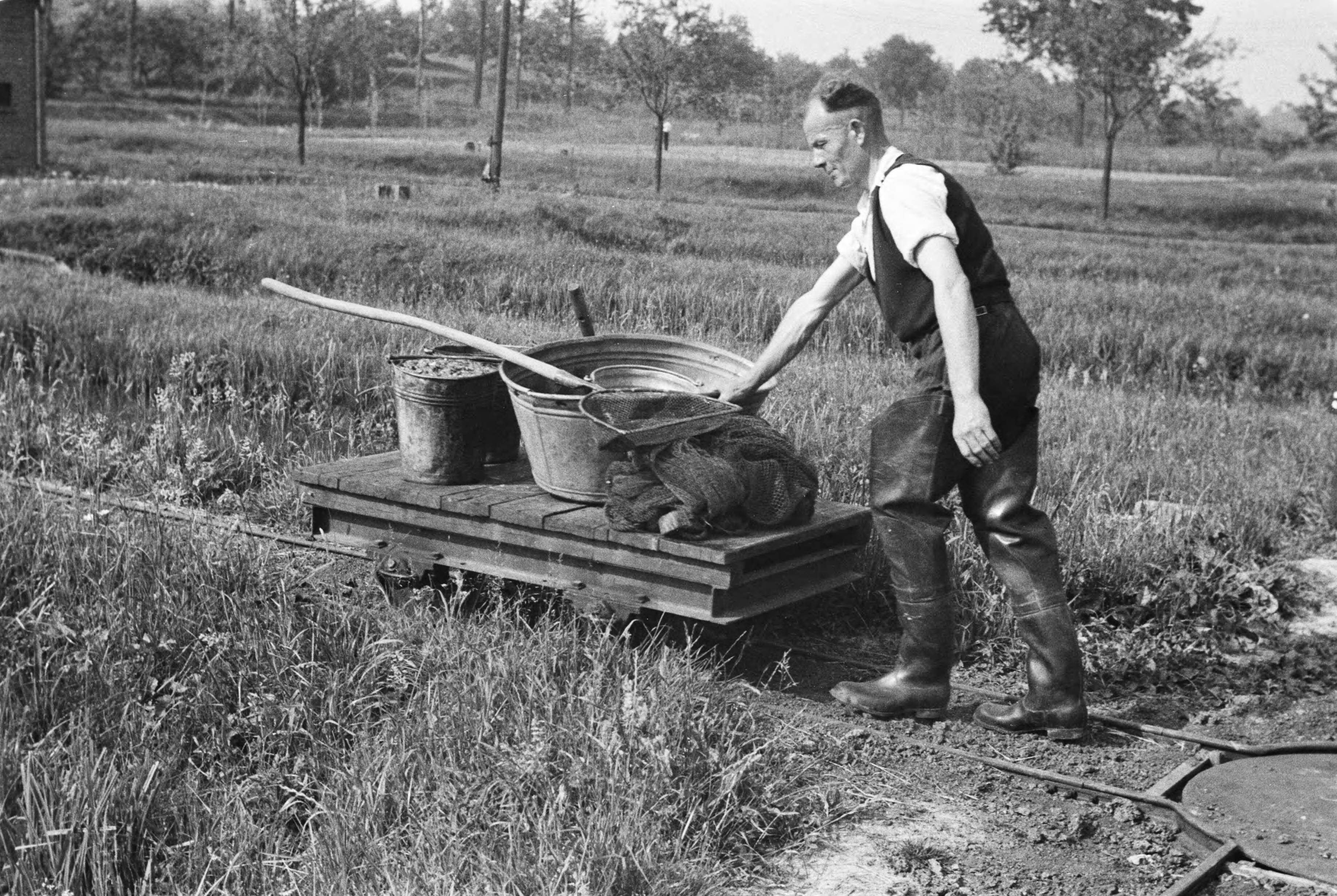 Fotocollectie Nederlandse Heidemaatschappij — Gulpen|visserij |viskwekerijen |forellenvijvers |transporten — Foto: Fotograaf Onbekend / Heidemij. Licentie: Set B: Rechtenvrij / Publiek Domein. Bron: Nationaal Archief. http://hdl.handle.net/10648/ae89eafc-d0b4-102d-bcf8-003048976d84