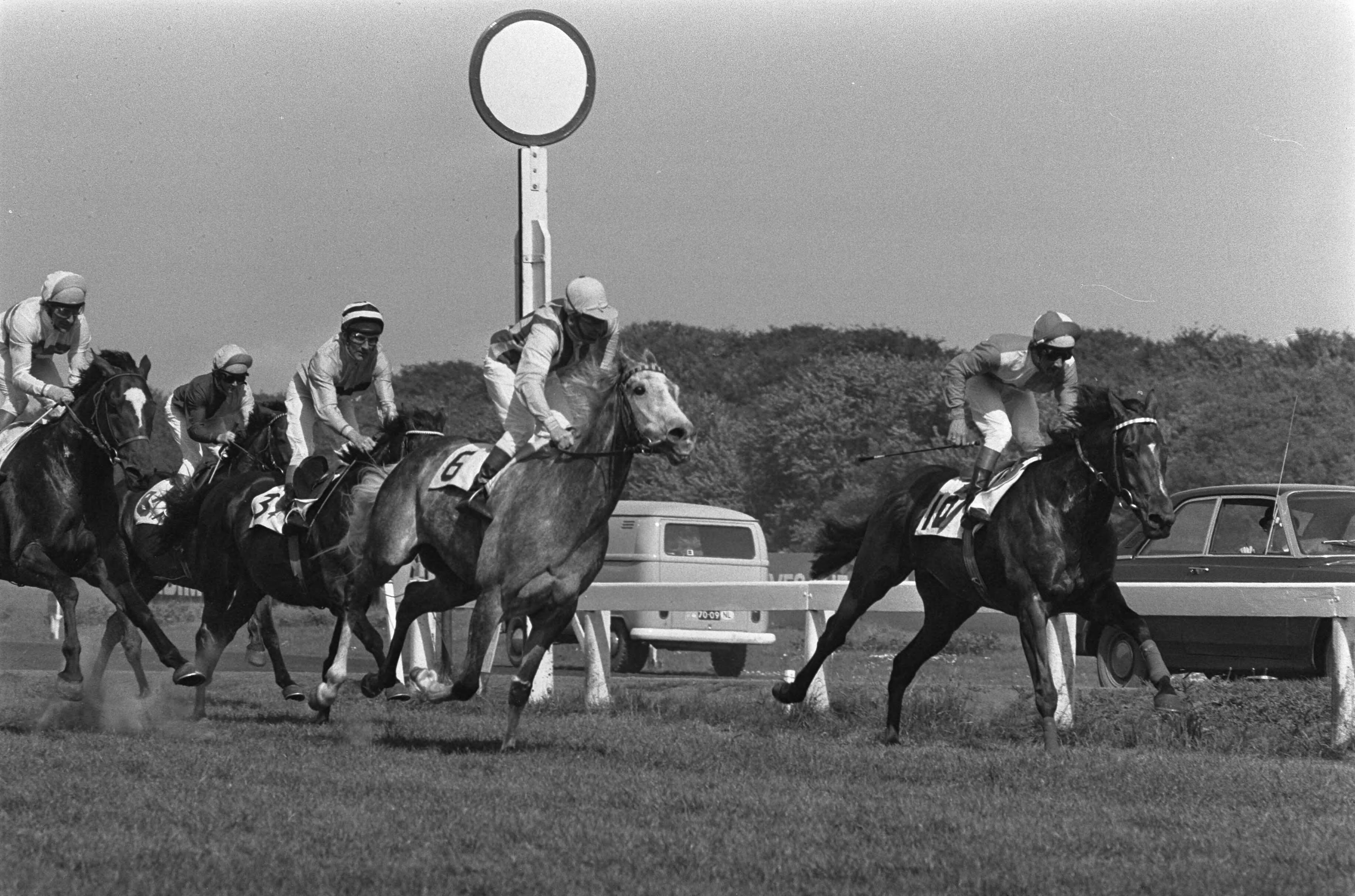 Fotocollectie Anefo — Grote Prijs van Den Haag op Duindigt; nr. 10 (1e van rechts) Darius Honey werd tweede, nr. 6 Elder Stateman eerste — Foto: Mieremet, Rob / Anefo. Licentie: Set B: Rechtenvrij / Publiek Domein. Bron: Nationaal Archief. http://hdl.handle.net/10648/ac4bd642-d0b4-102d-bcf8-003048976d84