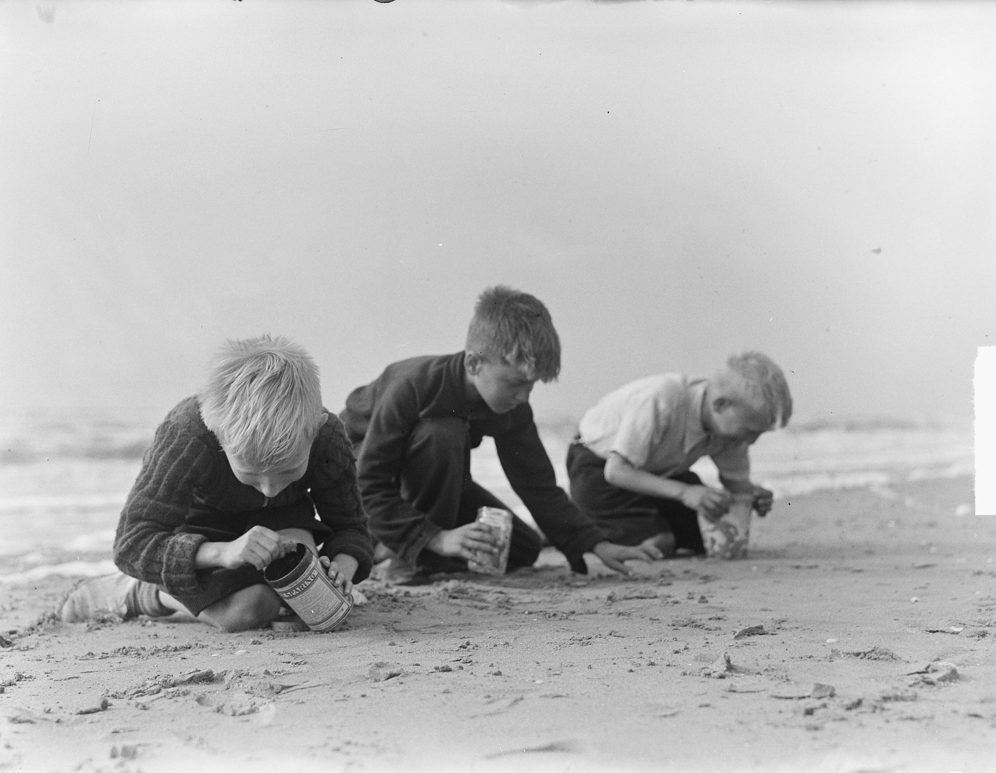 Coloradokevers in Hoedekenskerke (Zeeland) — Kinderen zoeken naar coloradokevers op het strand van Zandvoort — Foto: Pot, Harry / Anefo. Licentie: Set B: Rechtenvrij / Publiek Domein. Bron: Nationaal Archief. http://hdl.handle.net/10648/a8d8f5b2-d0b4-102d-bcf8-003048976d84