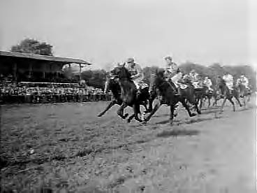Fotocollectie Anefo — Draverijen en paardenrennen op Duindigt — Foto: Bilsen, Joop van / Anefo. Licentie: Set B: Rechtenvrij / Publiek Domein. Bron: Nationaal Archief. http://hdl.handle.net/10648/a96a9364-d0b4-102d-bcf8-003048976d84