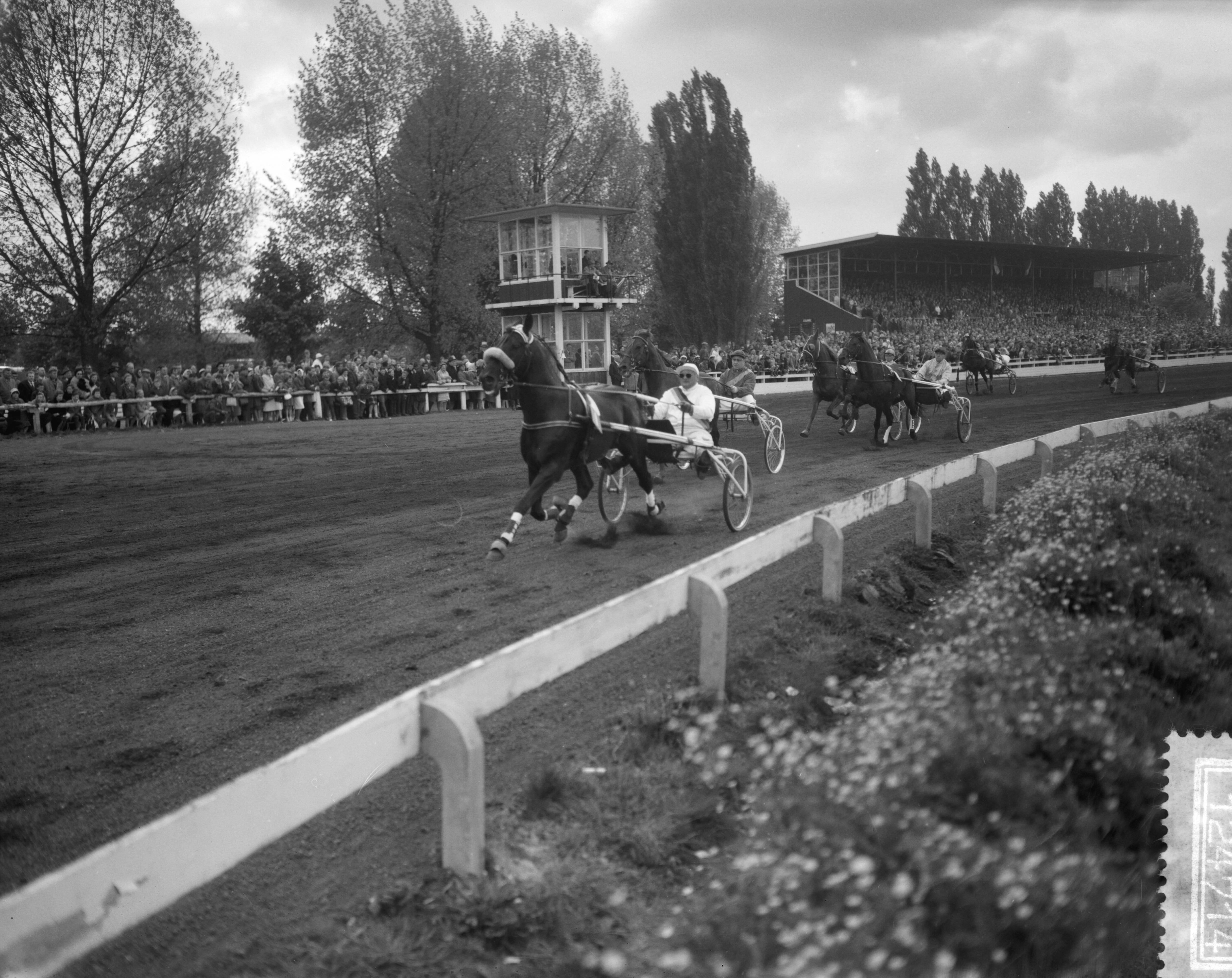 Fotocollectie Anefo — Draverijen op Sportpark Mereveld te Utrecht. Draverij voor het Europees kampioenschap van amateurrijders. Vooraan Index (Duitsland), daarachter de latere winnaar Mamvolo (Zweden met pikeur K. Larsson) — Foto: Bilsen, Joop van / Anefo. Licentie: Set B: Rechtenvrij / Publiek Domein. Bron: Nationaal Archief. http://hdl.handle.net/10648/a9d4c784-d0b4-102d-bcf8-003048976d84