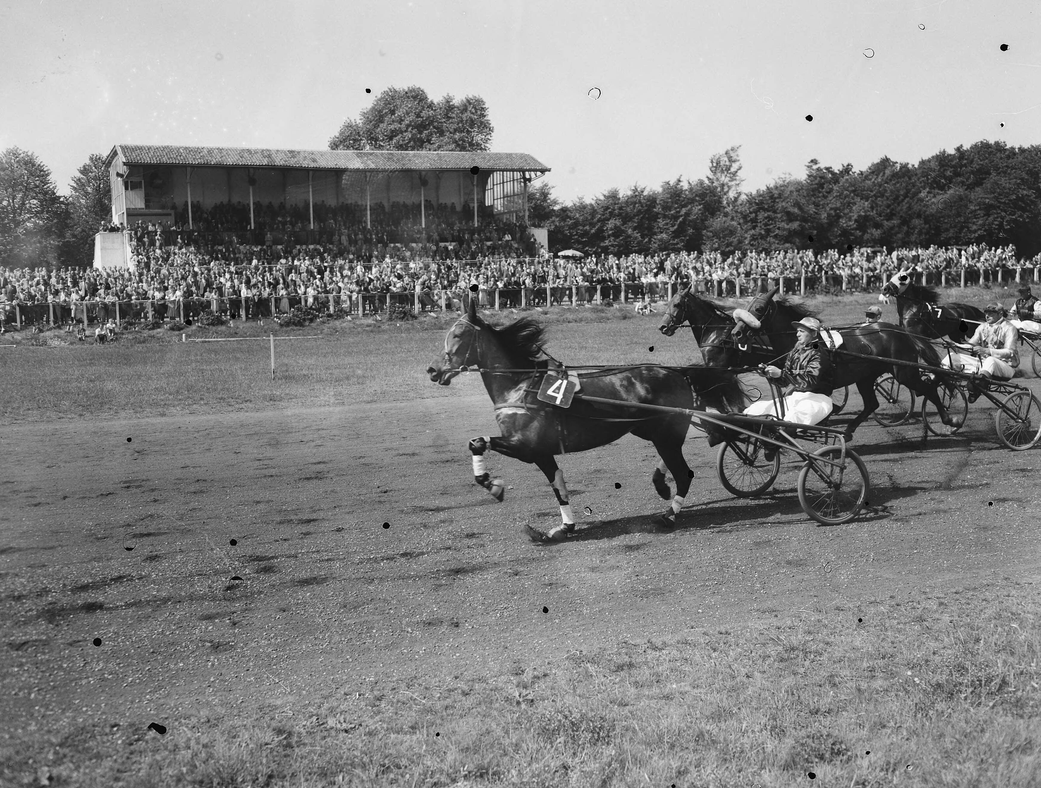 Fotocollectie Anefo — Paardenrennen. Koers op Duindigt — Foto: Noske, J.D. / Anefo. Licentie: Set B: Rechtenvrij / Publiek Domein. Bron: Nationaal Archief. http://hdl.handle.net/10648/a938796a-d0b4-102d-bcf8-003048976d84