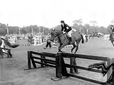 Fotocollectie Anefo — Nationaal concours hippique in het Westbroekpark te Den Haag. Prinses Beatrix in actie — Foto: Rossem, Wim van / Anefo. Licentie: Set B: Rechtenvrij / Publiek Domein. Bron: Nationaal Archief. http://hdl.handle.net/10648/a97e5e62-d0b4-102d-bcf8-003048976d84
